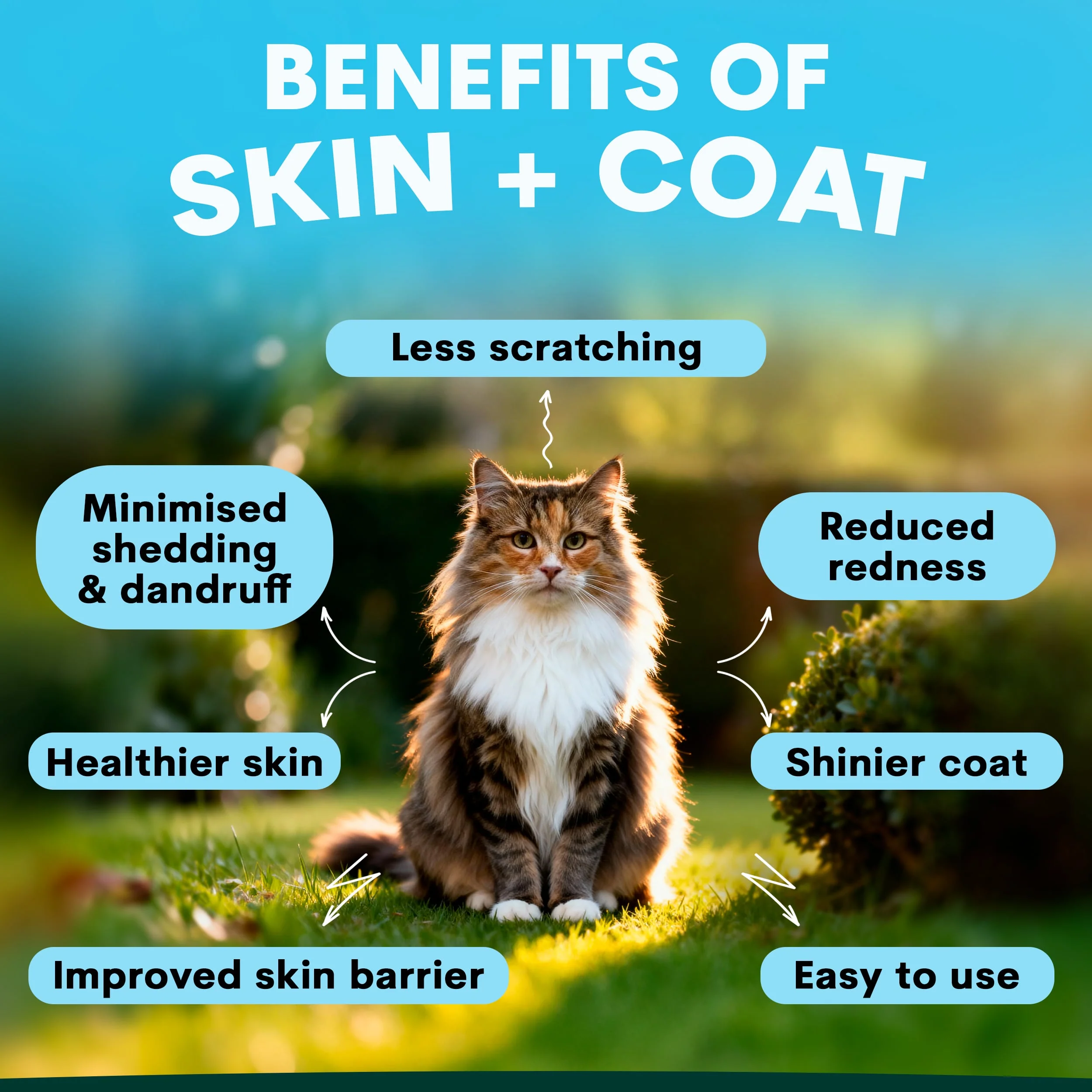 Allergy Duo for Cats - Image 3