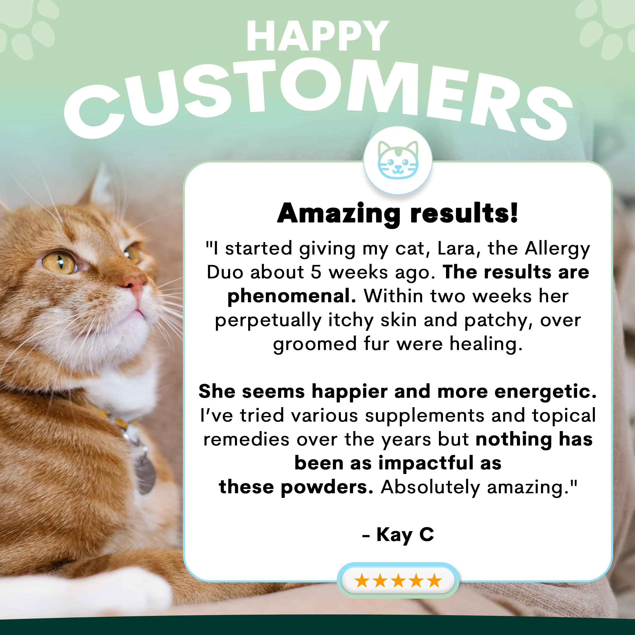 Allergy Duo for Cats - Image 5