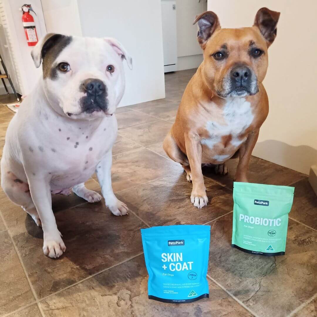 Allergy Duo for Dogs - Image 11