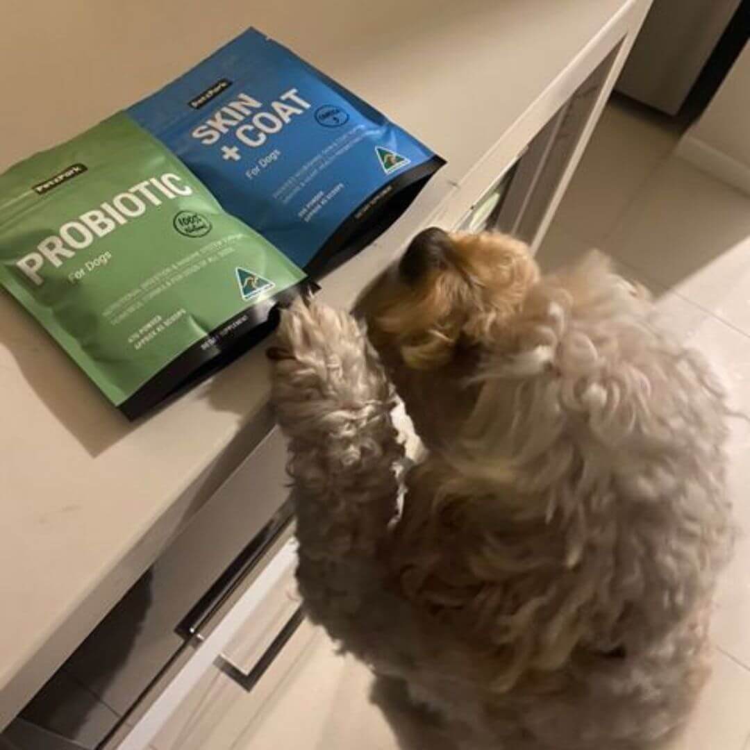 Allergy Duo for Dogs - Image 14