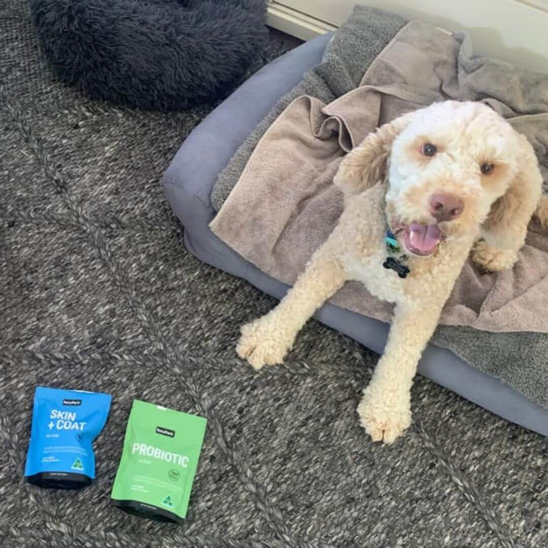 Allergy Duo for Dogs - Image 15