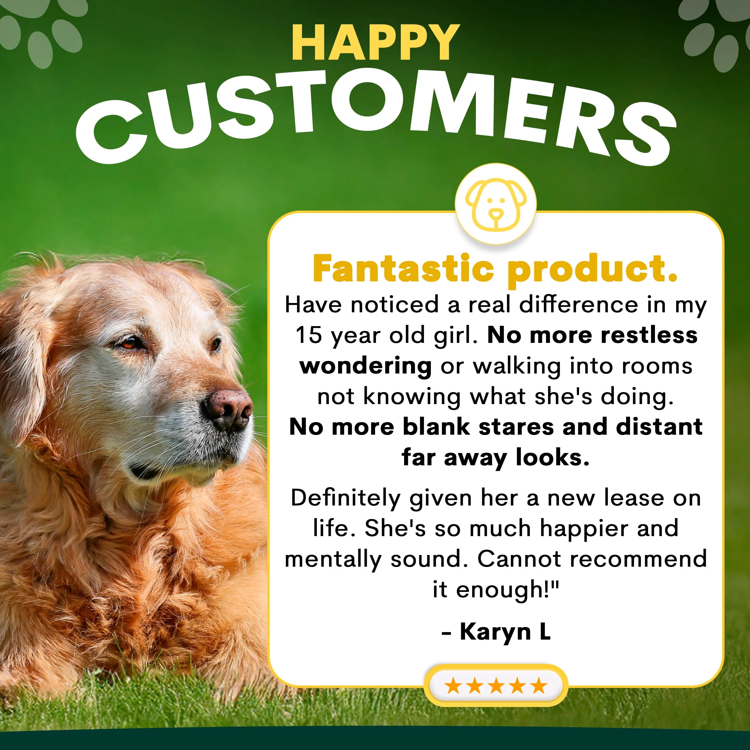 Brain Support for Dogs - Image 4