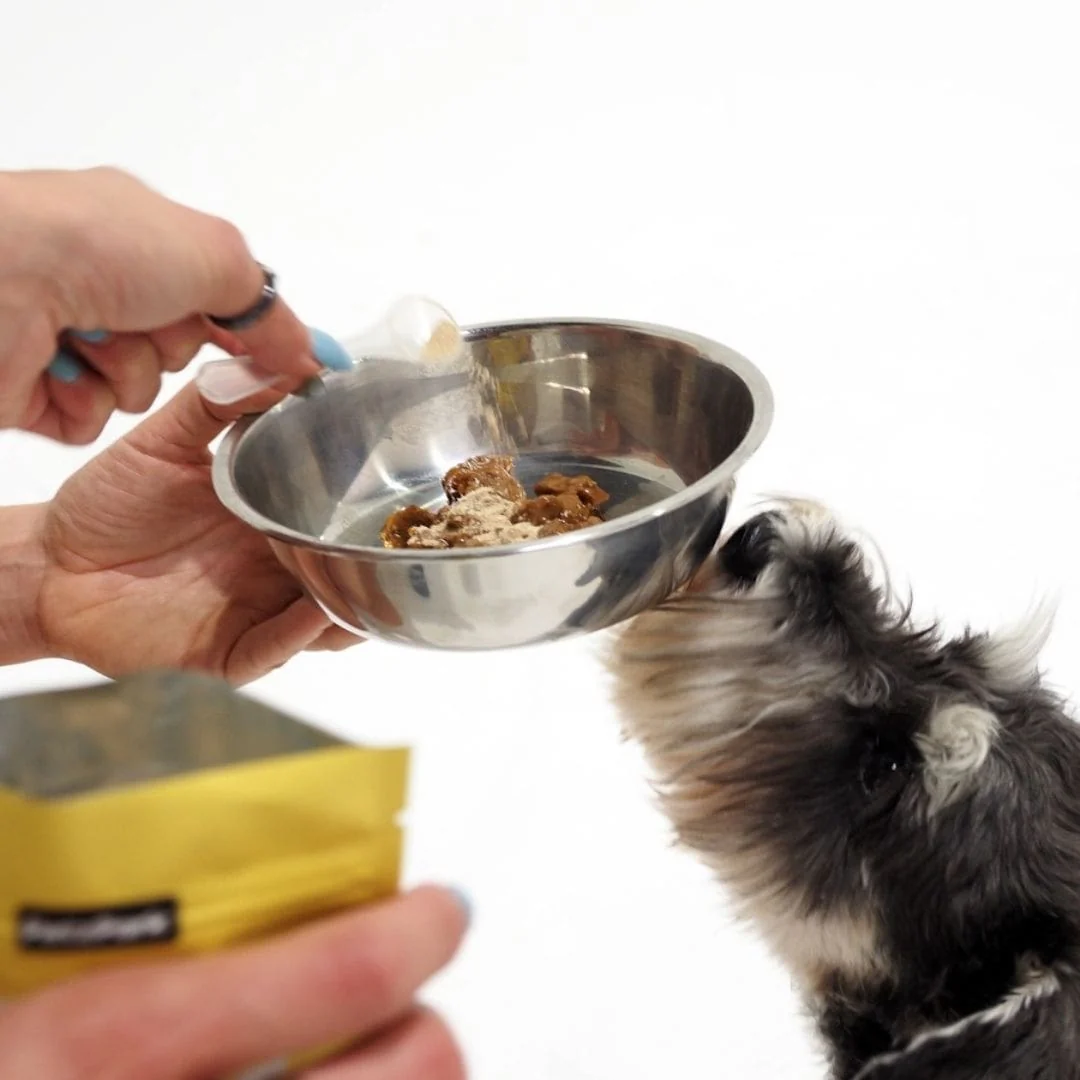 Brain Support for Dogs - Image 6