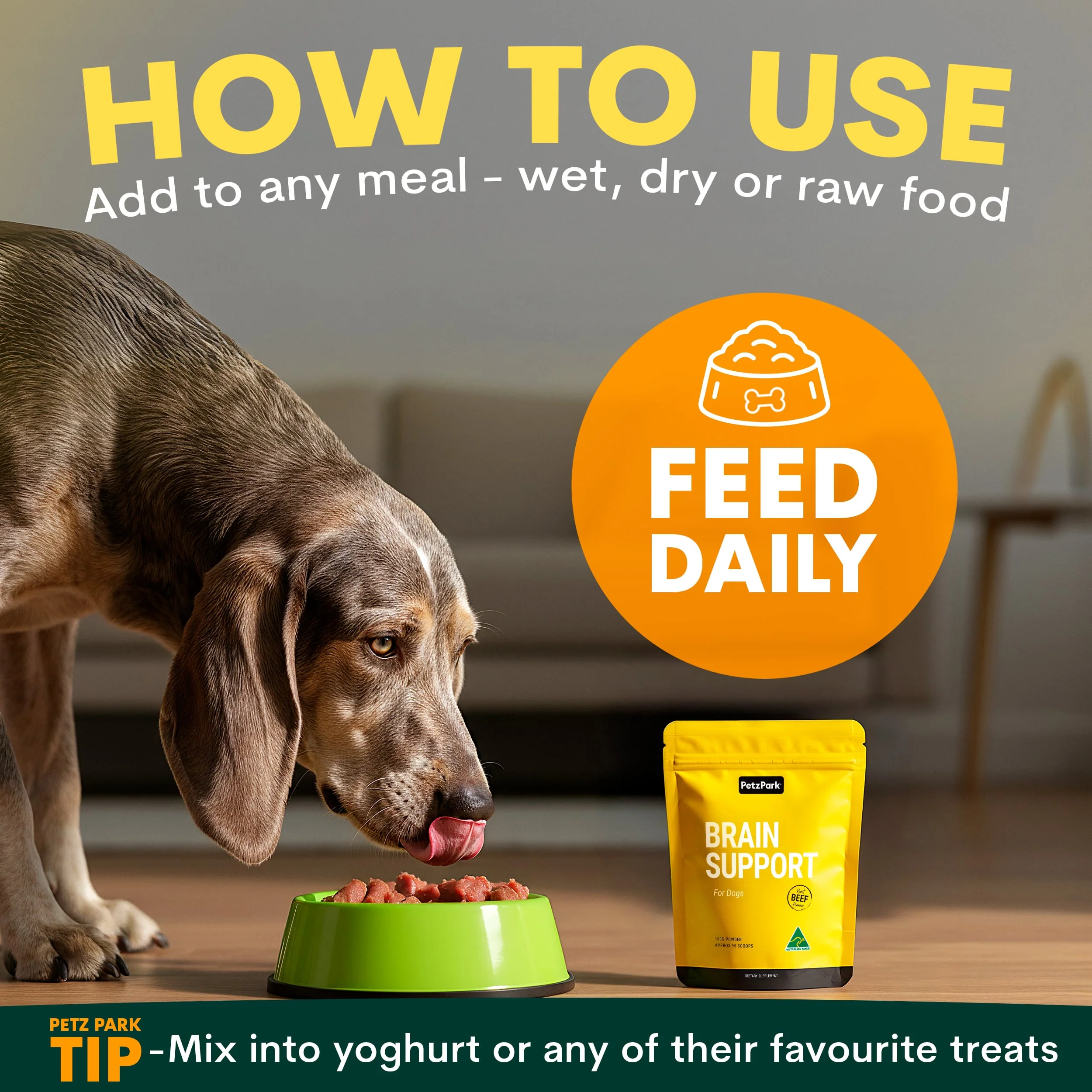 Brain Support for Dogs - Image 7