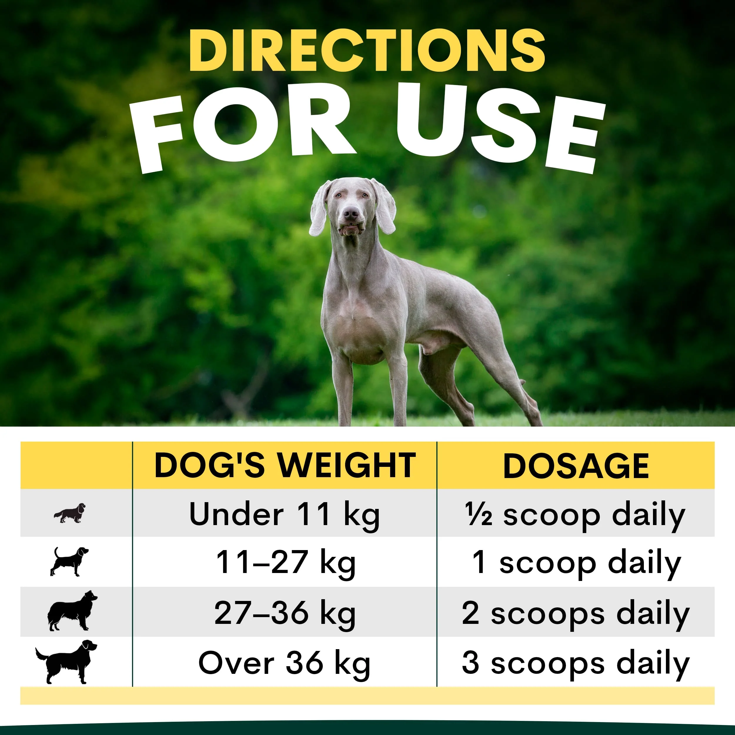 Brain Support for Dogs - Image 8