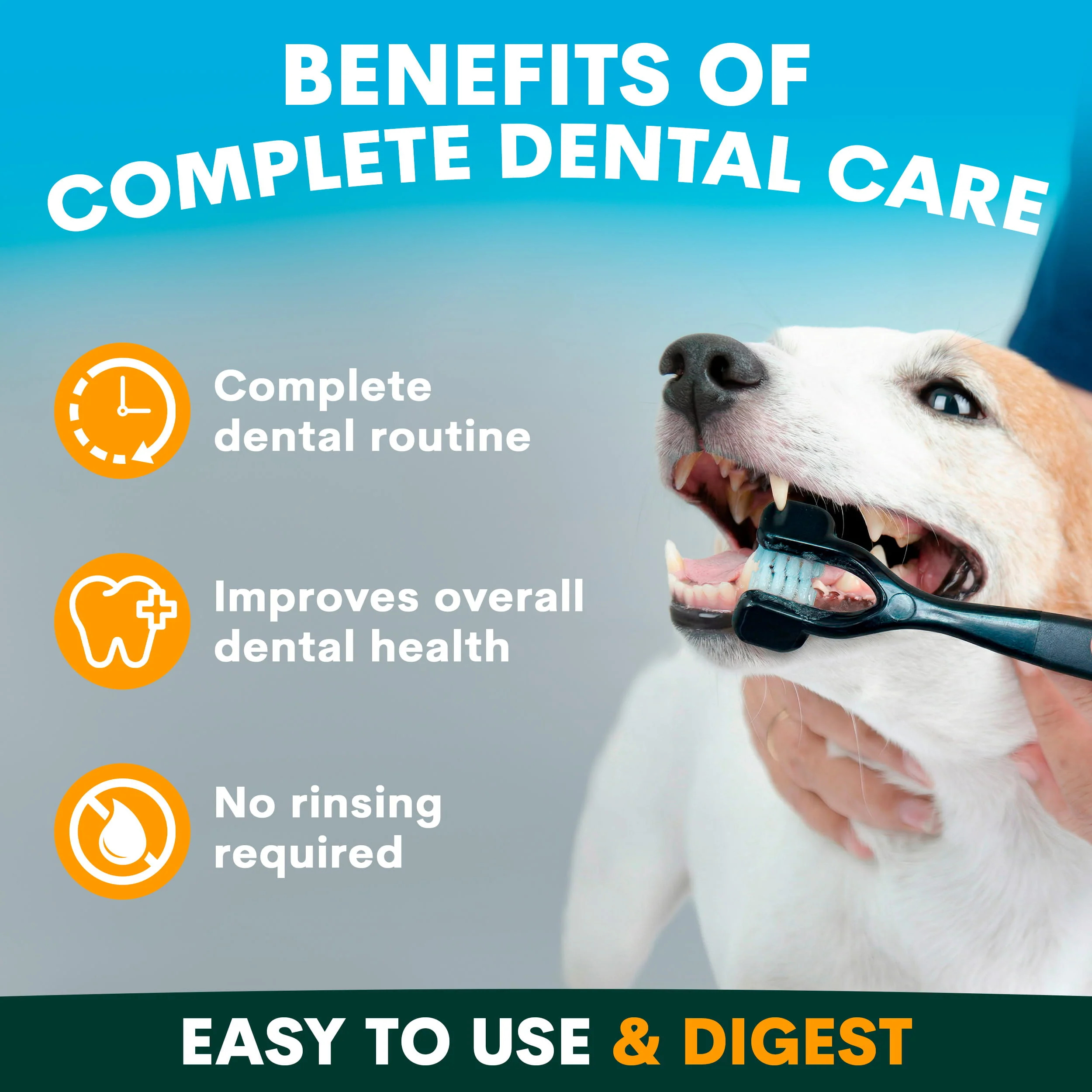 Complete Dental Care for Dogs - Image 3