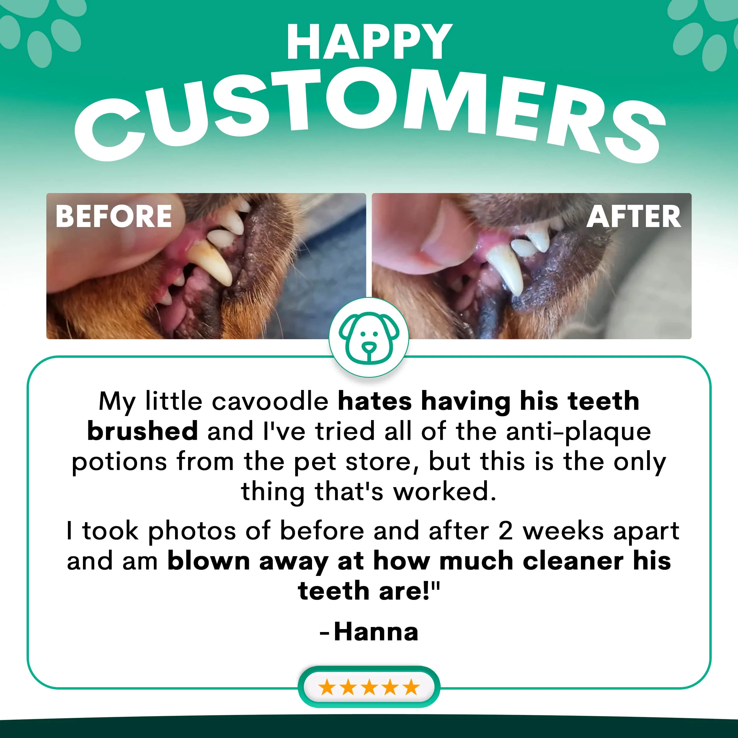 Complete Dental Care for Dogs - Image 4