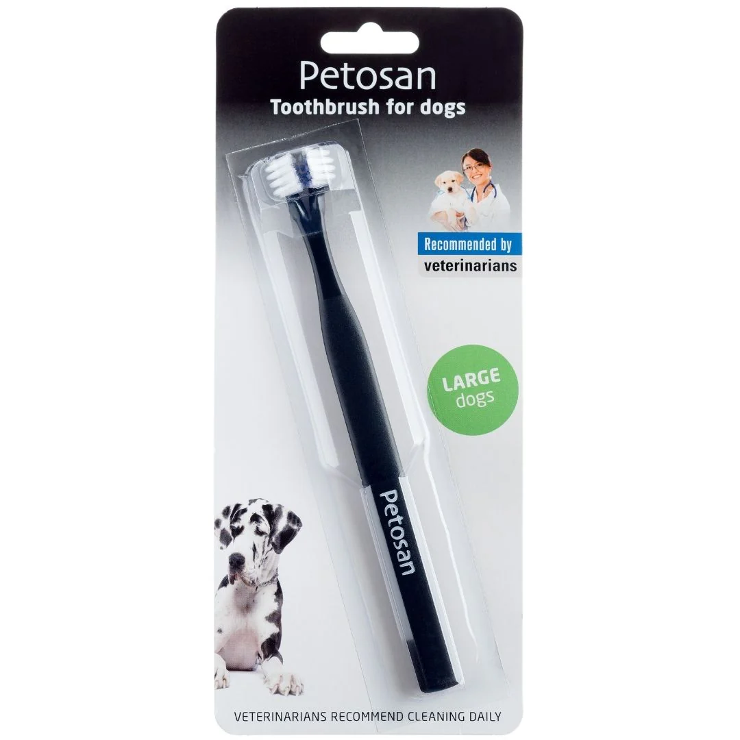 Dental Starter Kit - Image 10