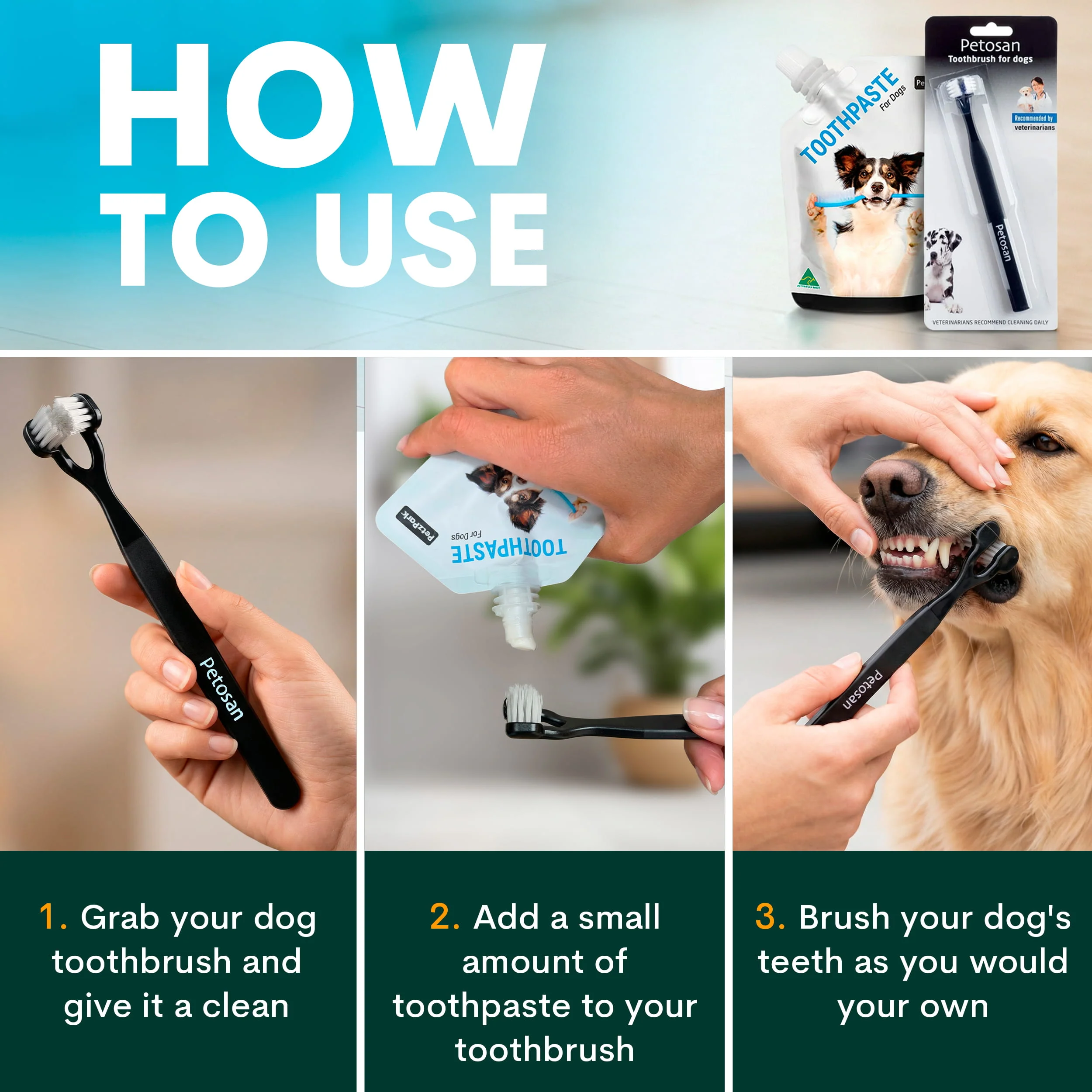 Dental Starter Kit - Image 4
