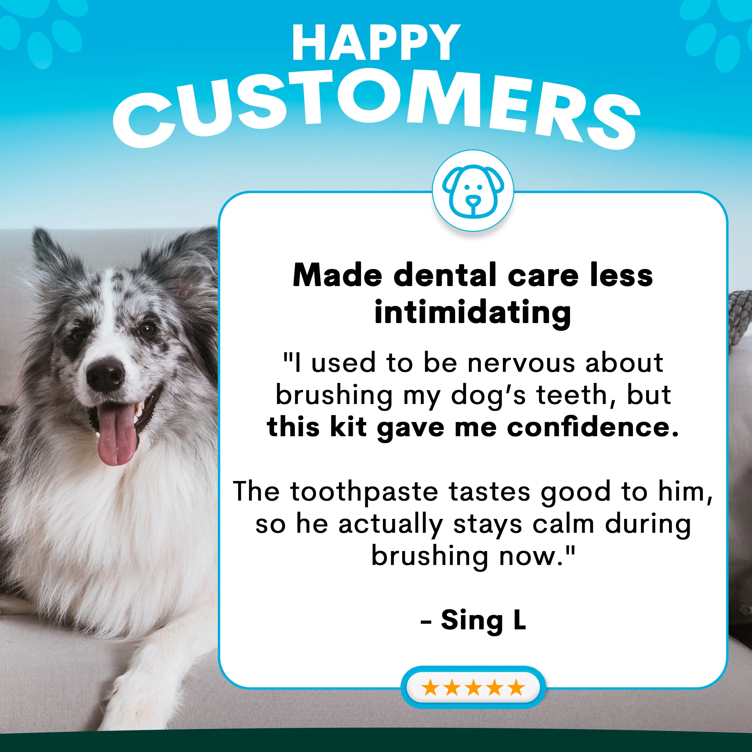 Dental Starter Kit - Image 5