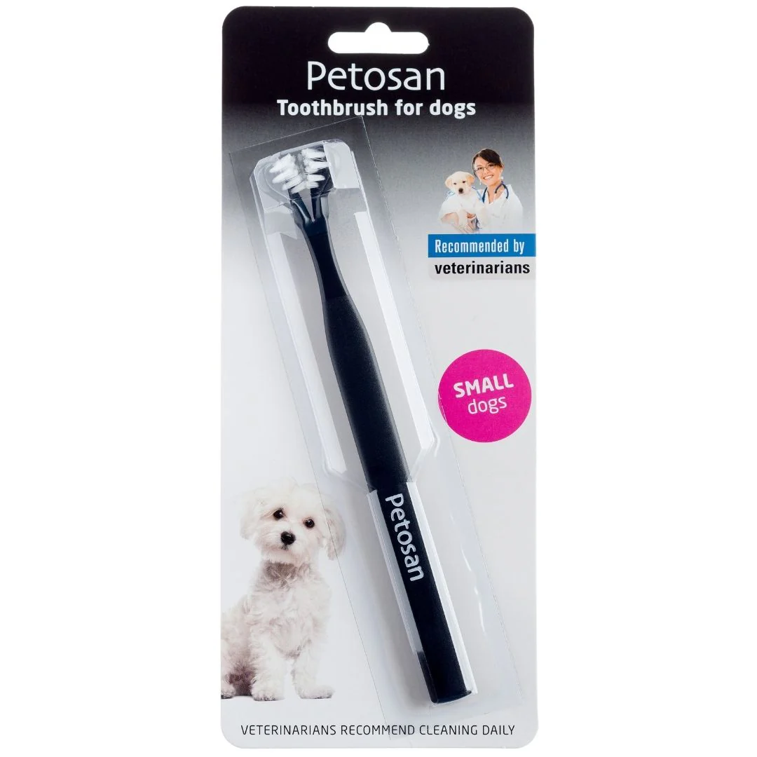 Dental Starter Kit - Image 9