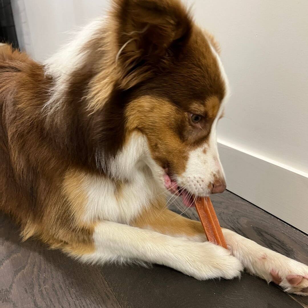 Dog Dental Sticks - Image 5
