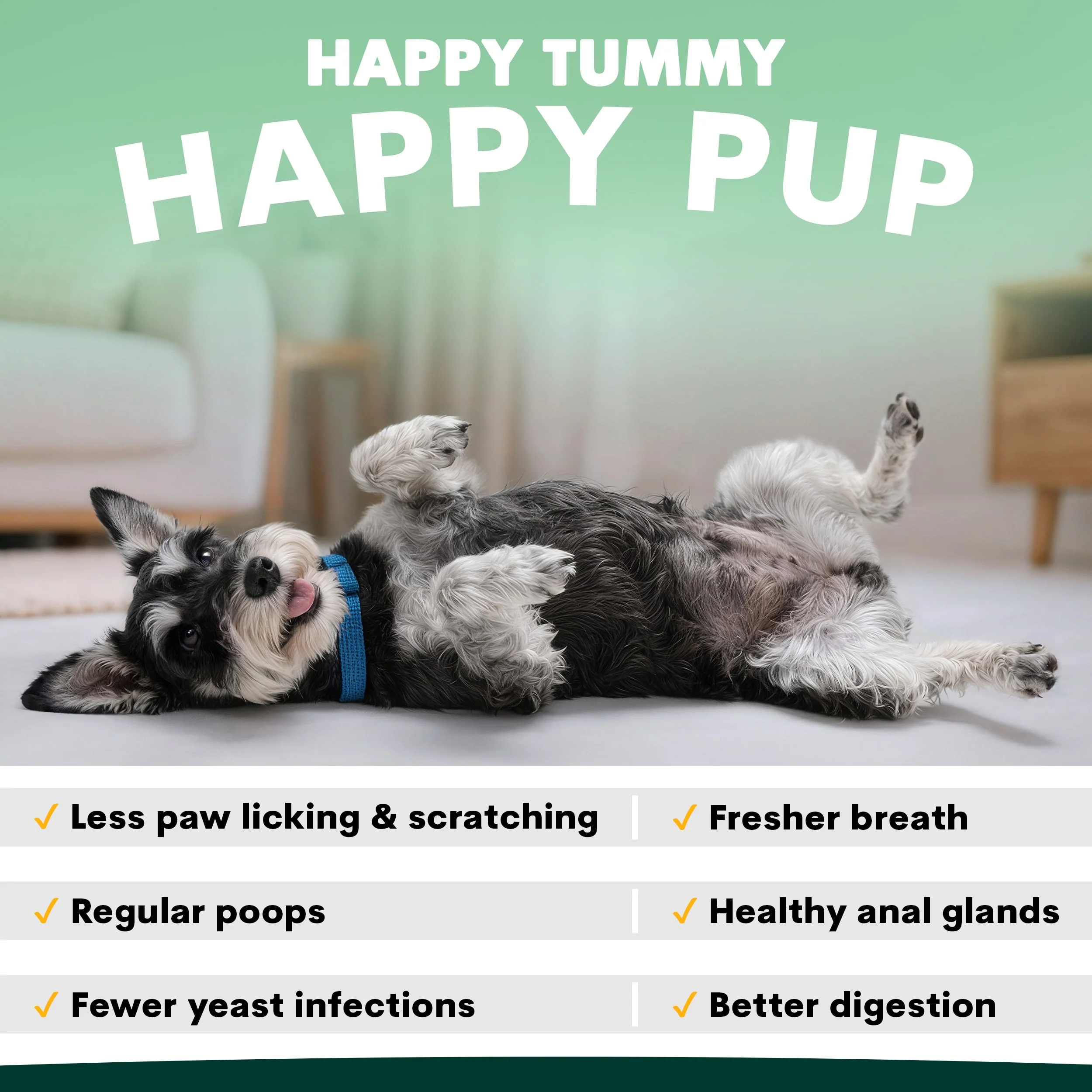 Total Health Package for Dogs - Image 11