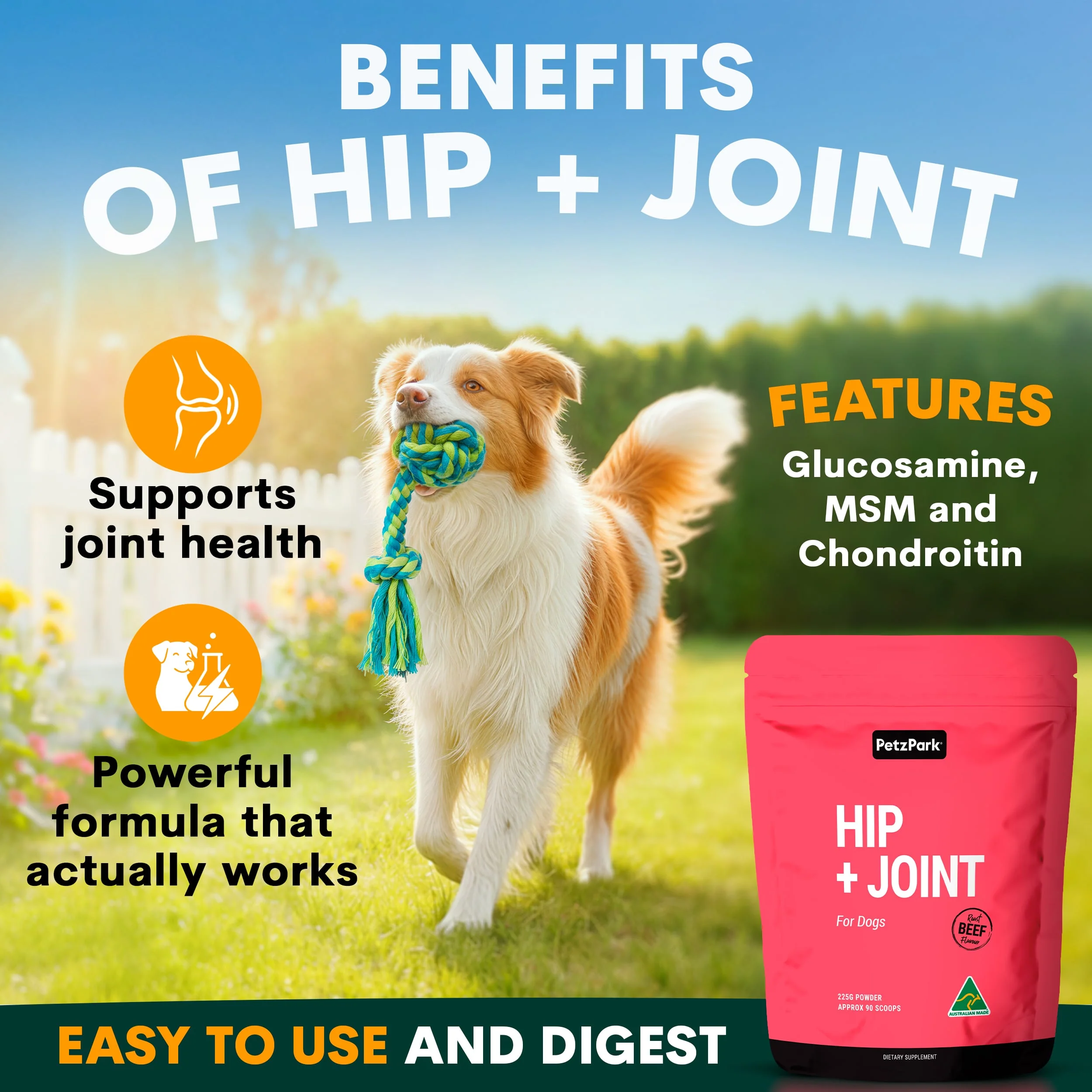 Total Health Package for Dogs - Image 3