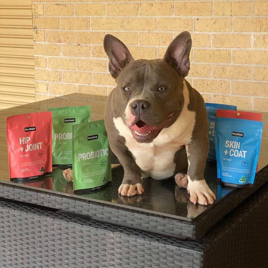 Total Health Package for Dogs - Image 6