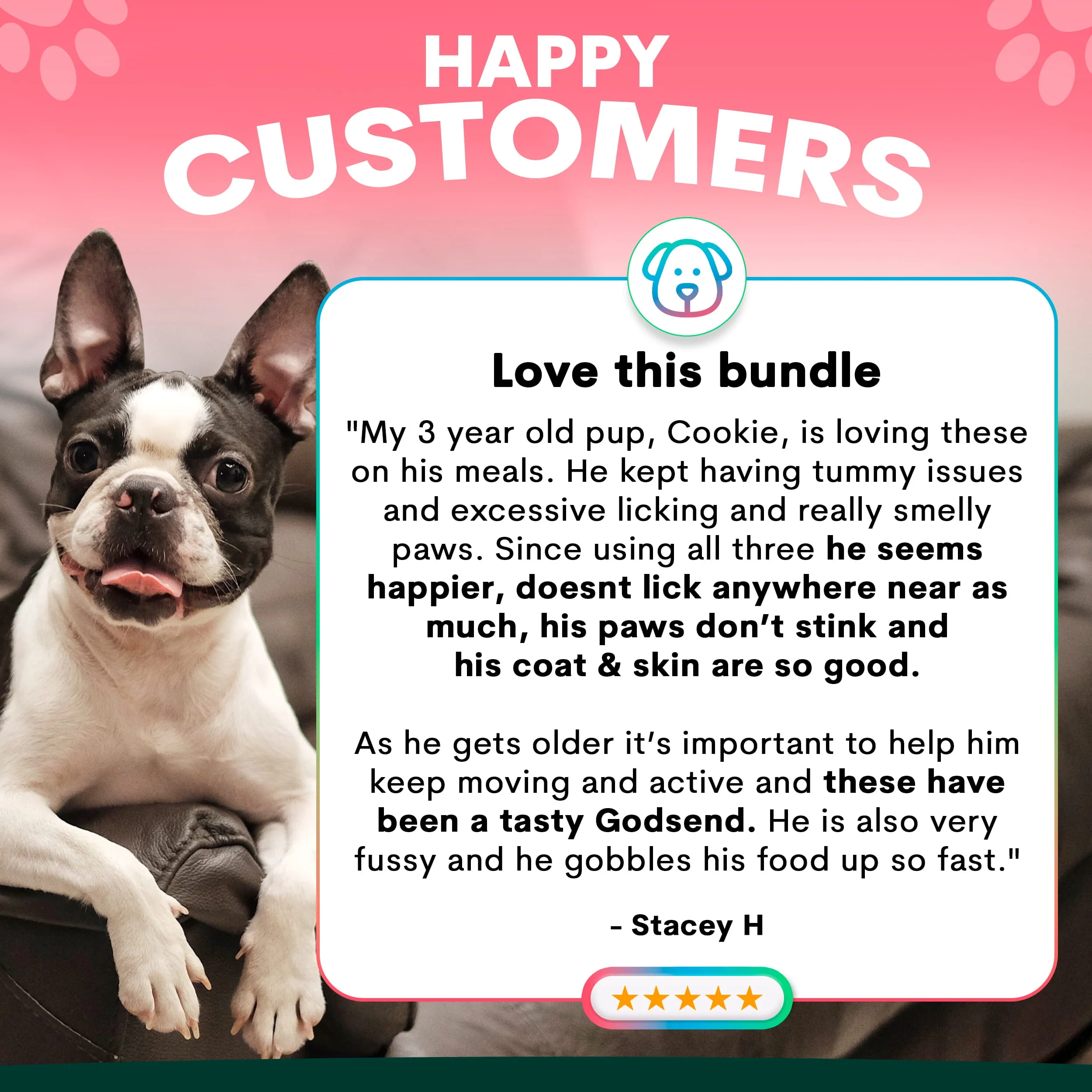 Total Health Package for Dogs - Image 7