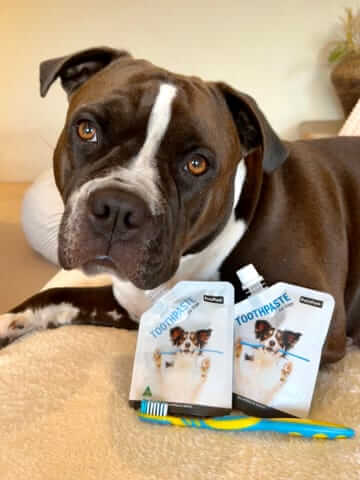 Dog Toothpaste - Image 5