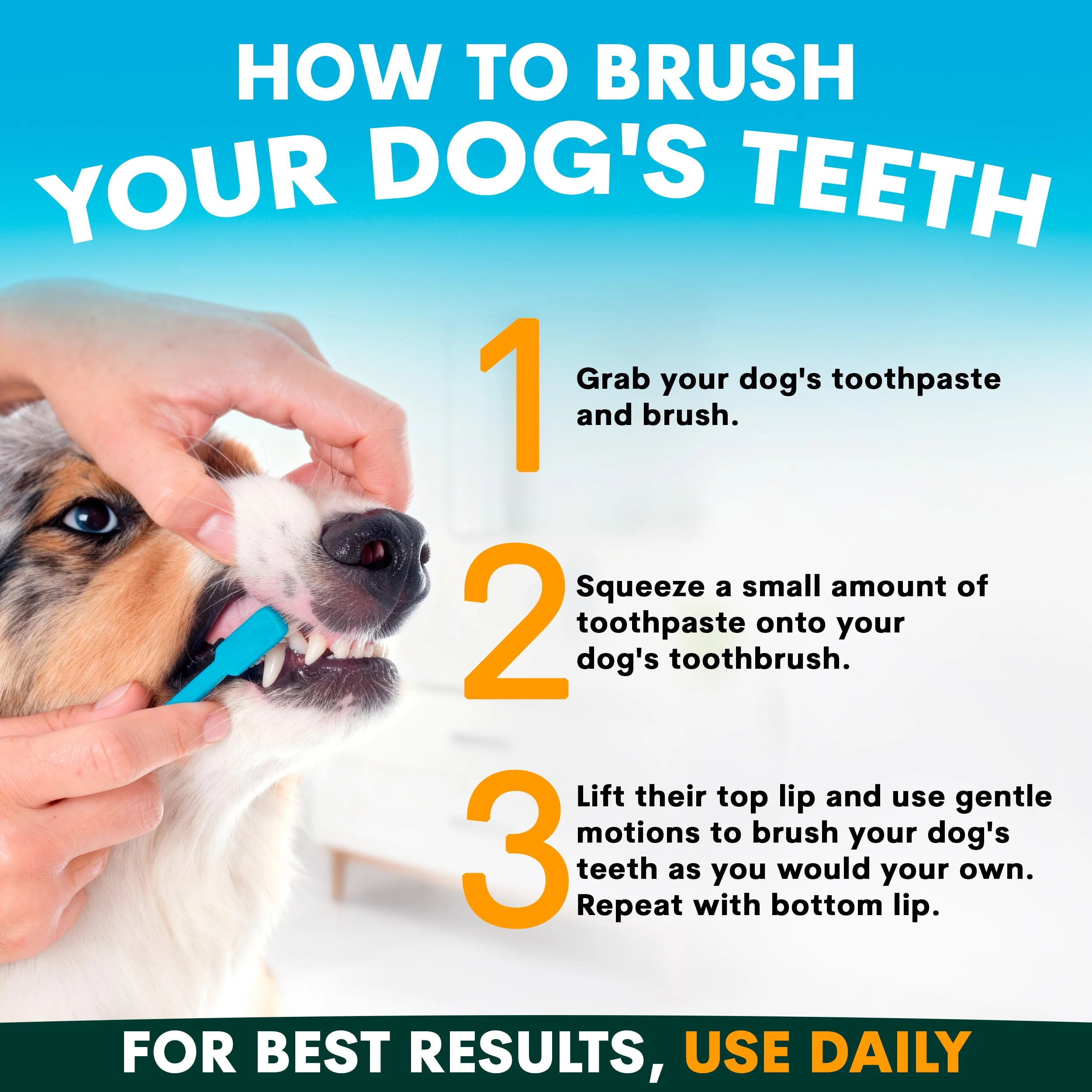 Dog Toothpaste - Image 7