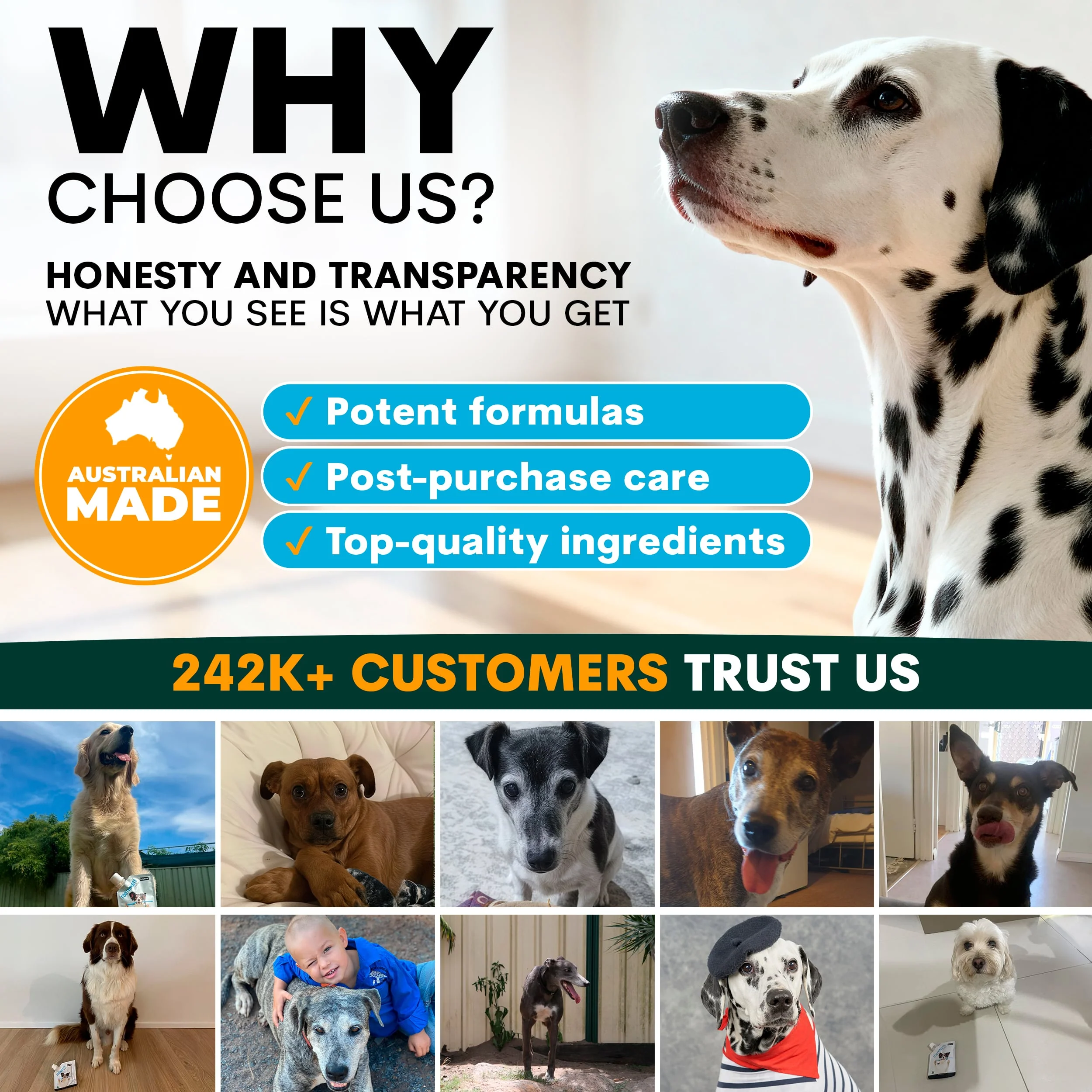 Dog Toothpaste - Image 8