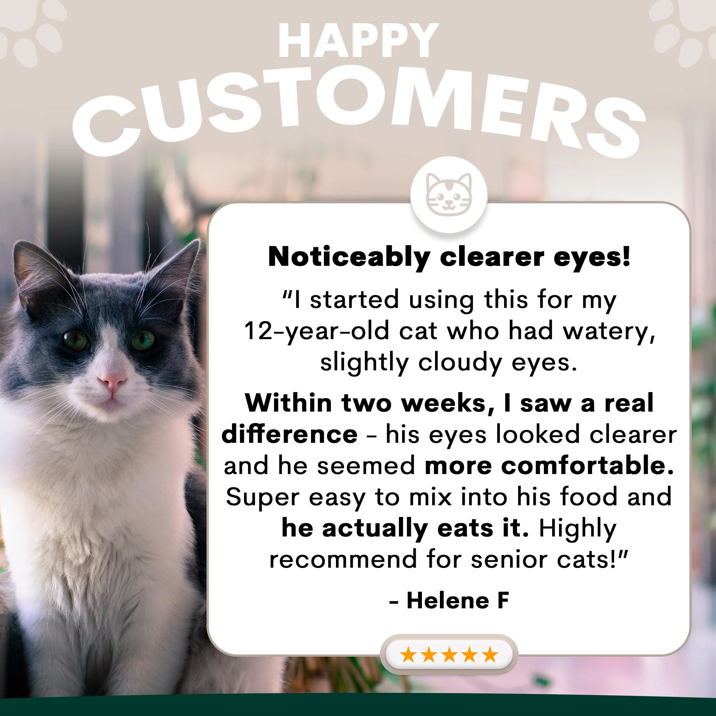 Eye Support for Cats - Image 4