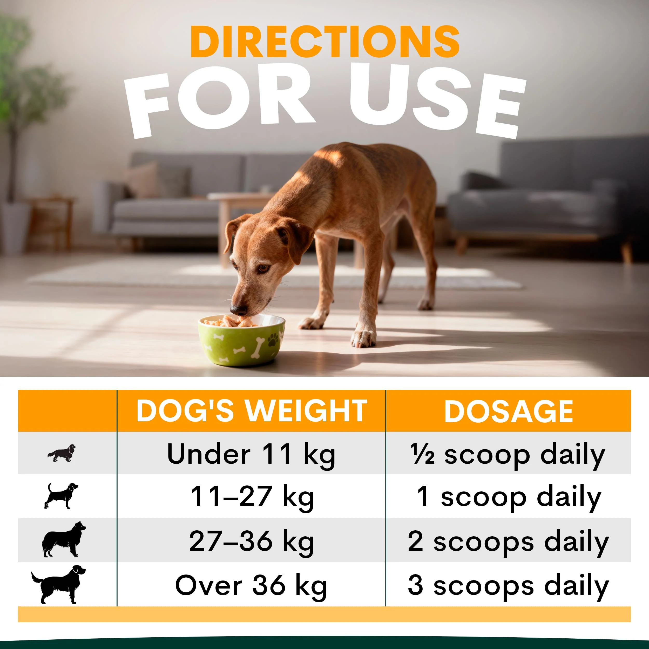 Health Boost Duo - Image 12
