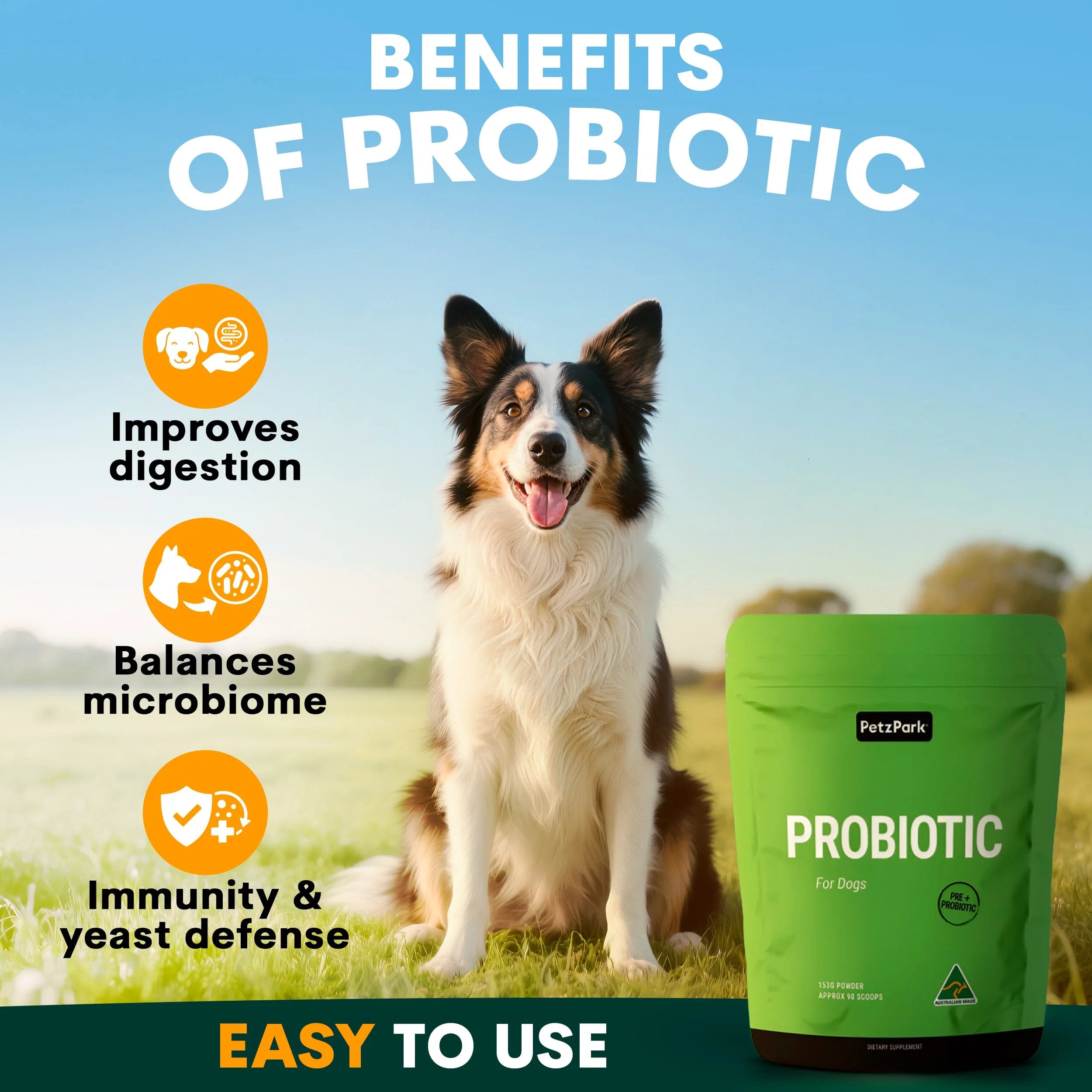 Health Boost Duo - Image 3