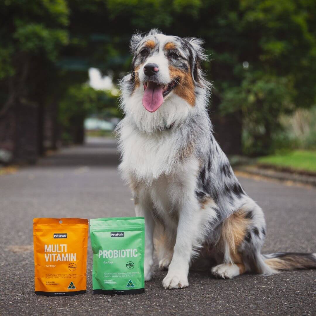 Health Boost Duo - Image 6