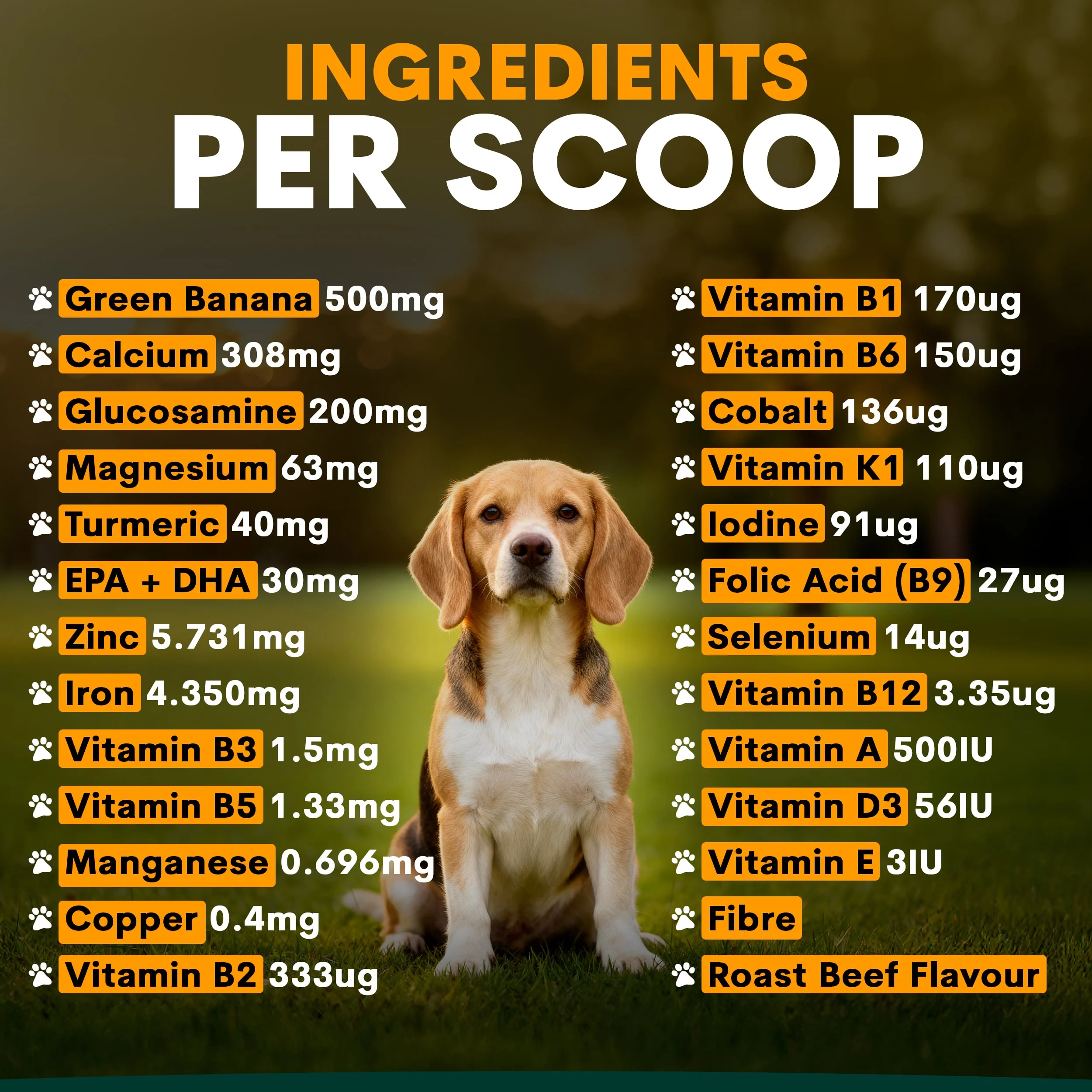 Multivitamin for Dogs - Image 5