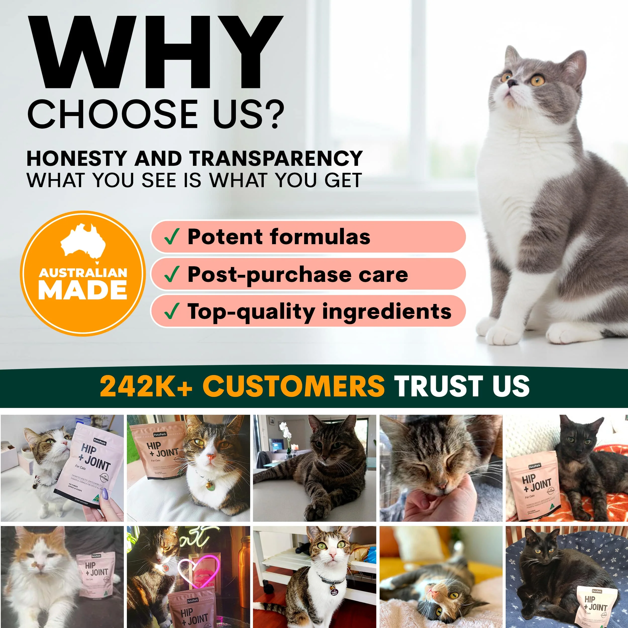 Hip + Joint for Cats - Image 10