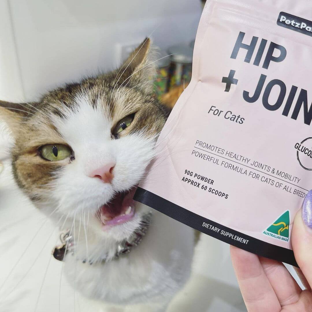 Hip + Joint for Cats - Image 9