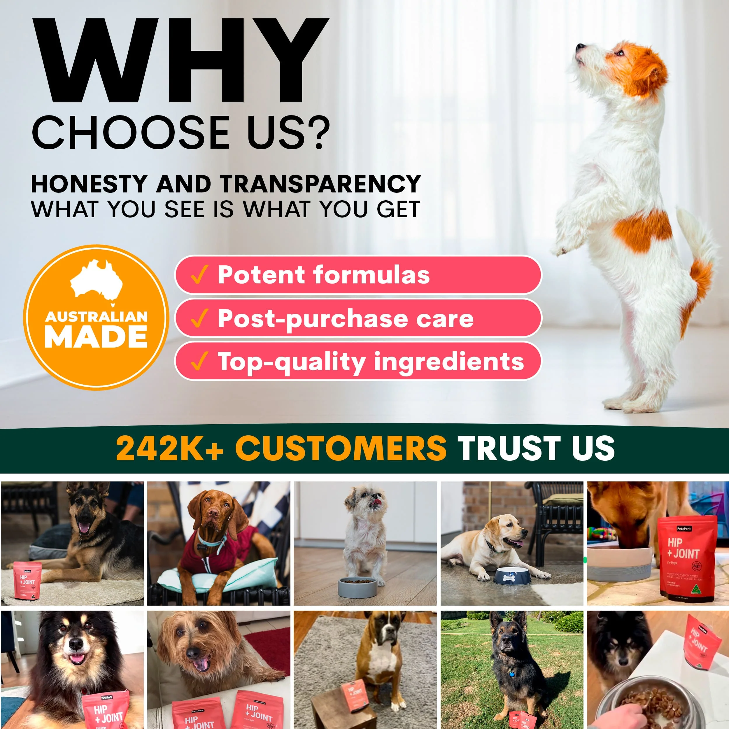 Hip + Joint for Dogs - Image 10