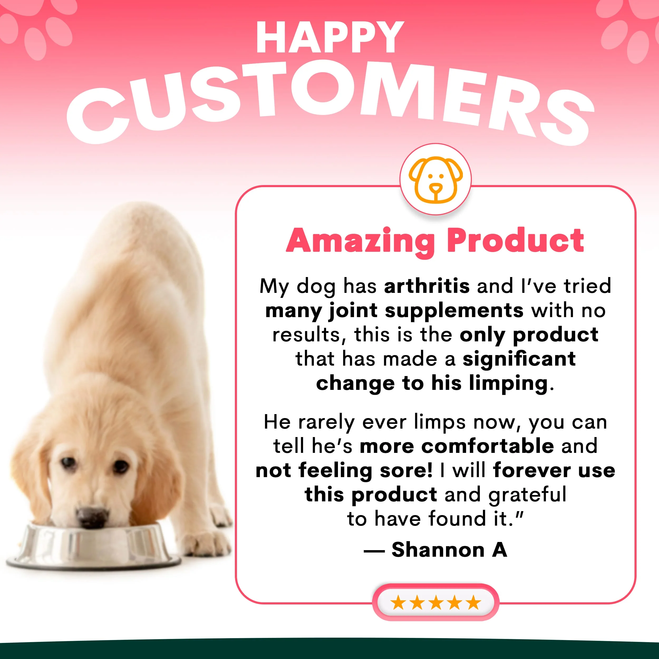 Hip + Joint for Dogs - Image 4