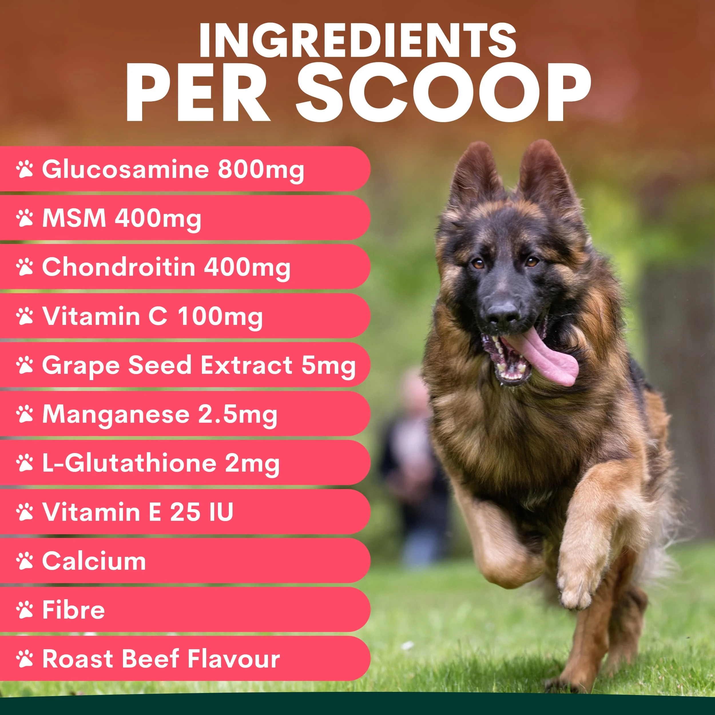 Hip + Joint for Dogs - Image 5