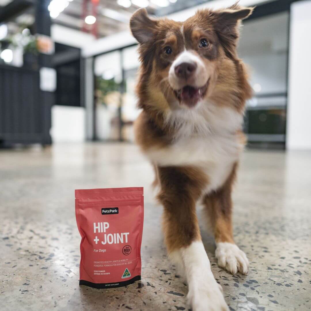 Hip + Joint for Dogs - Image 9