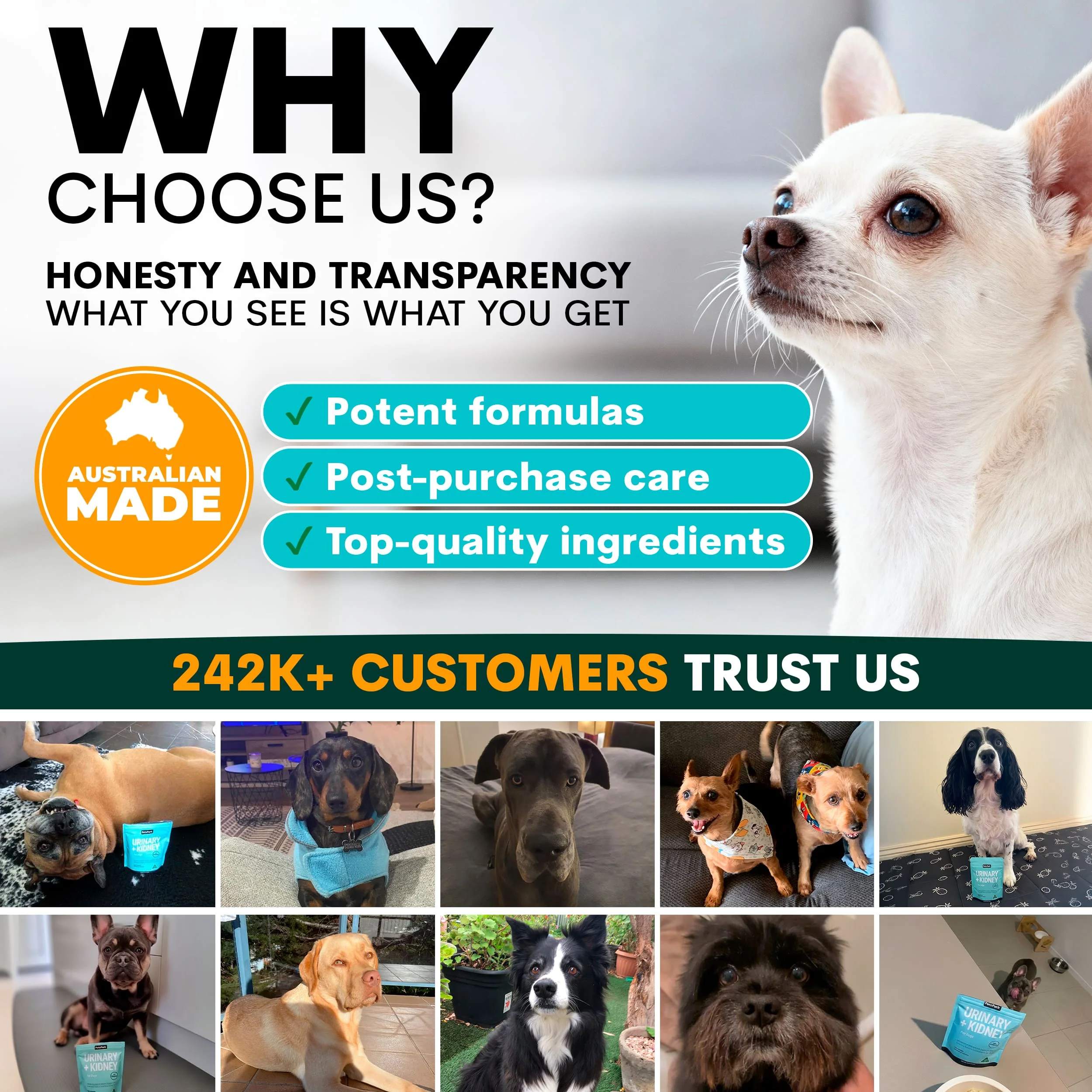 Urinary + Kidney for Dogs - Image 10