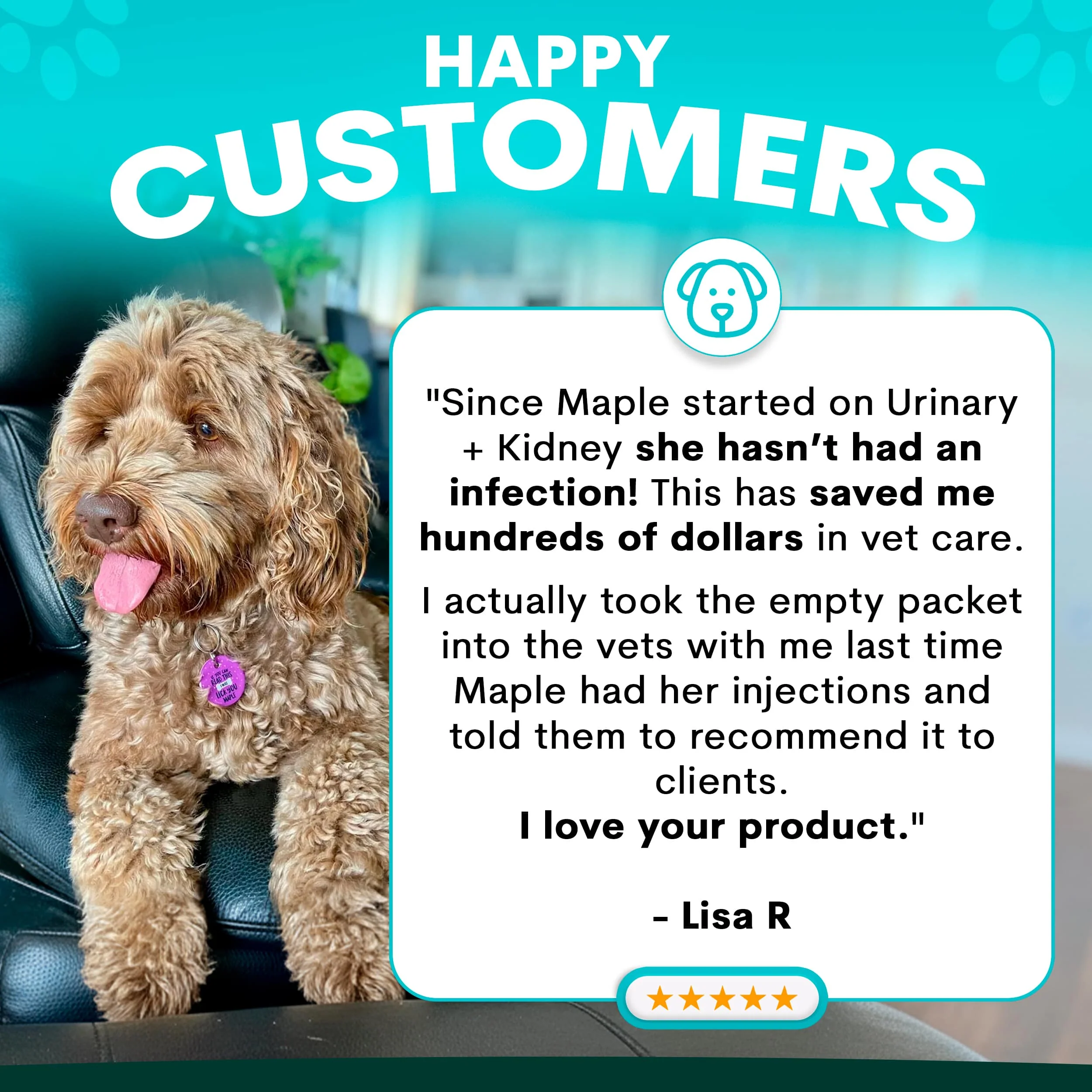 Urinary + Kidney for Dogs - Image 4