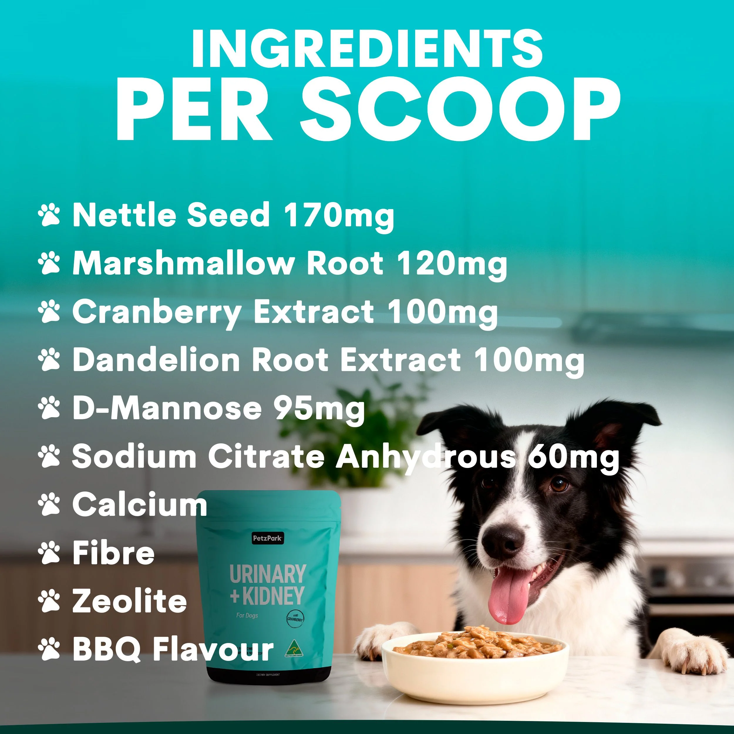 Urinary + Kidney for Dogs - Image 5