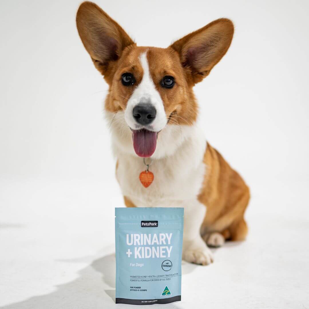 Urinary + Kidney for Dogs - Image 6
