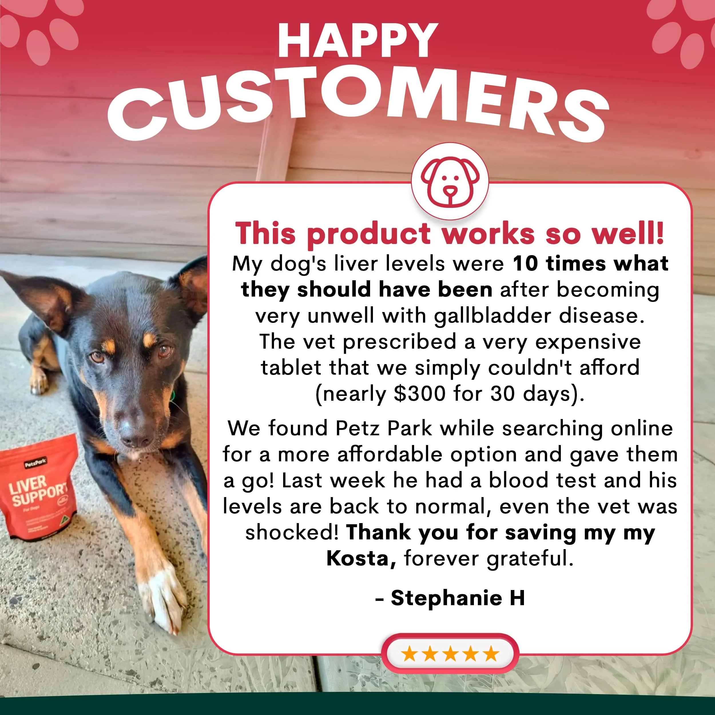 Liver Support for Dogs - Image 4