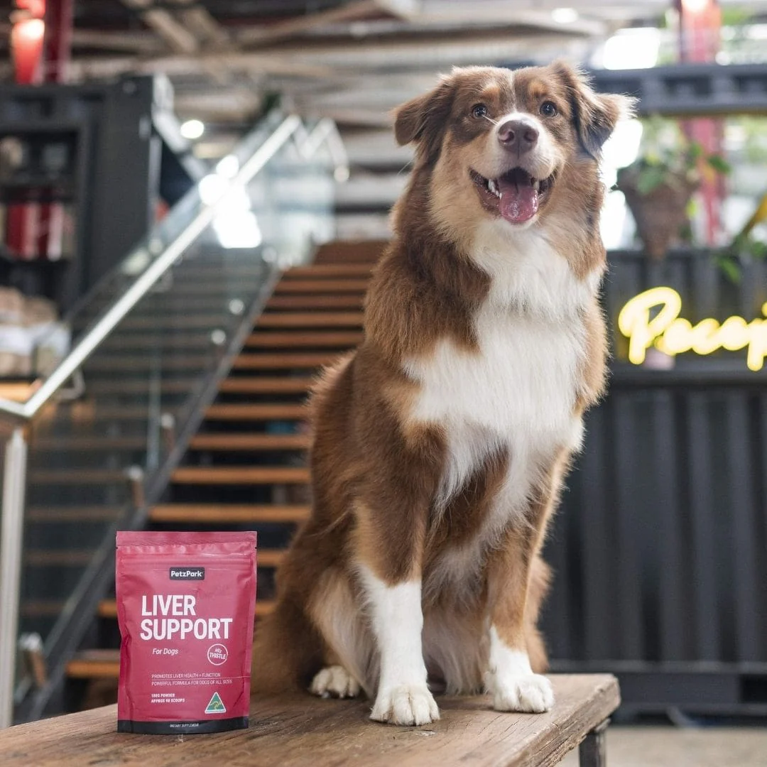 Liver Support for Dogs - Image 5