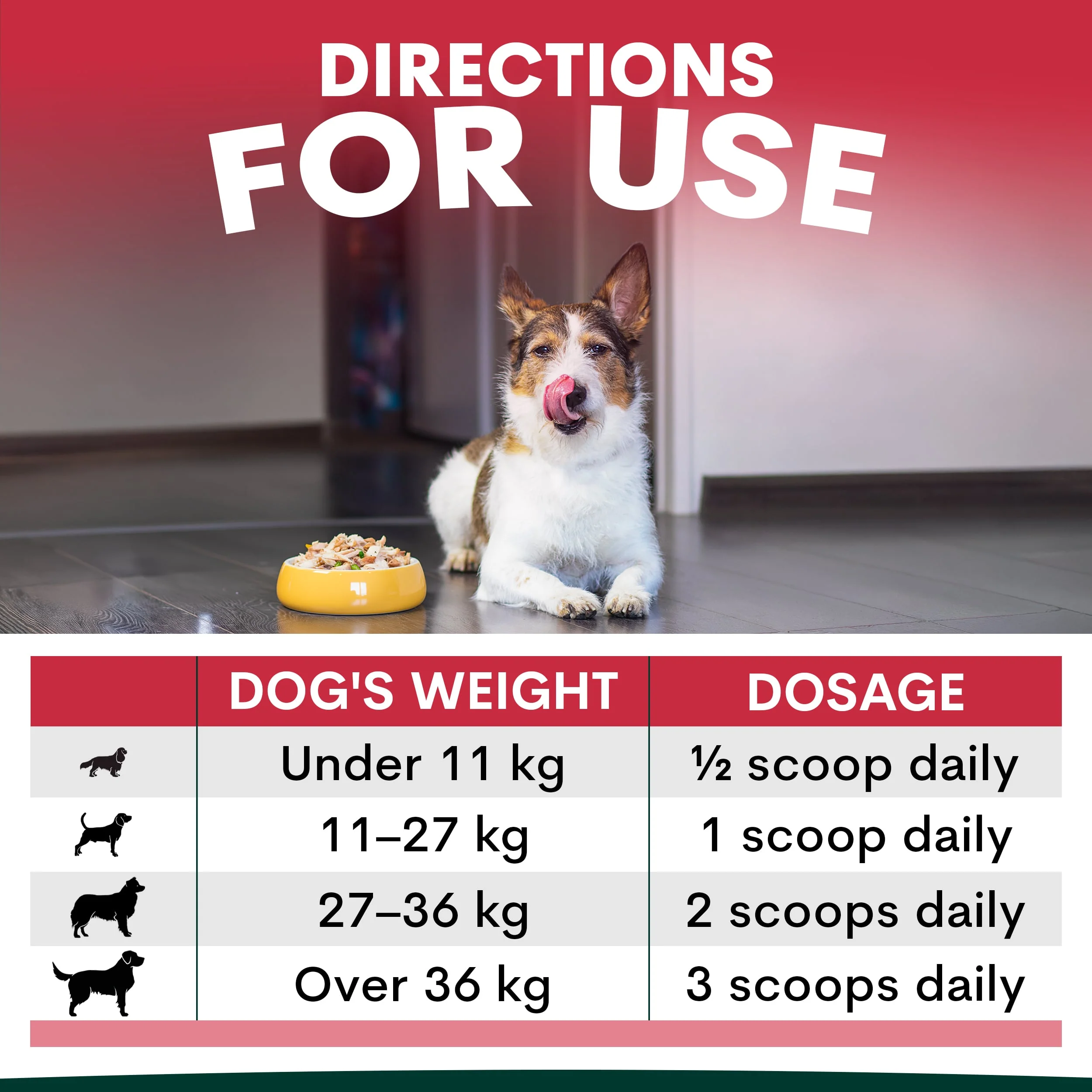 Liver Support for Dogs - Image 7