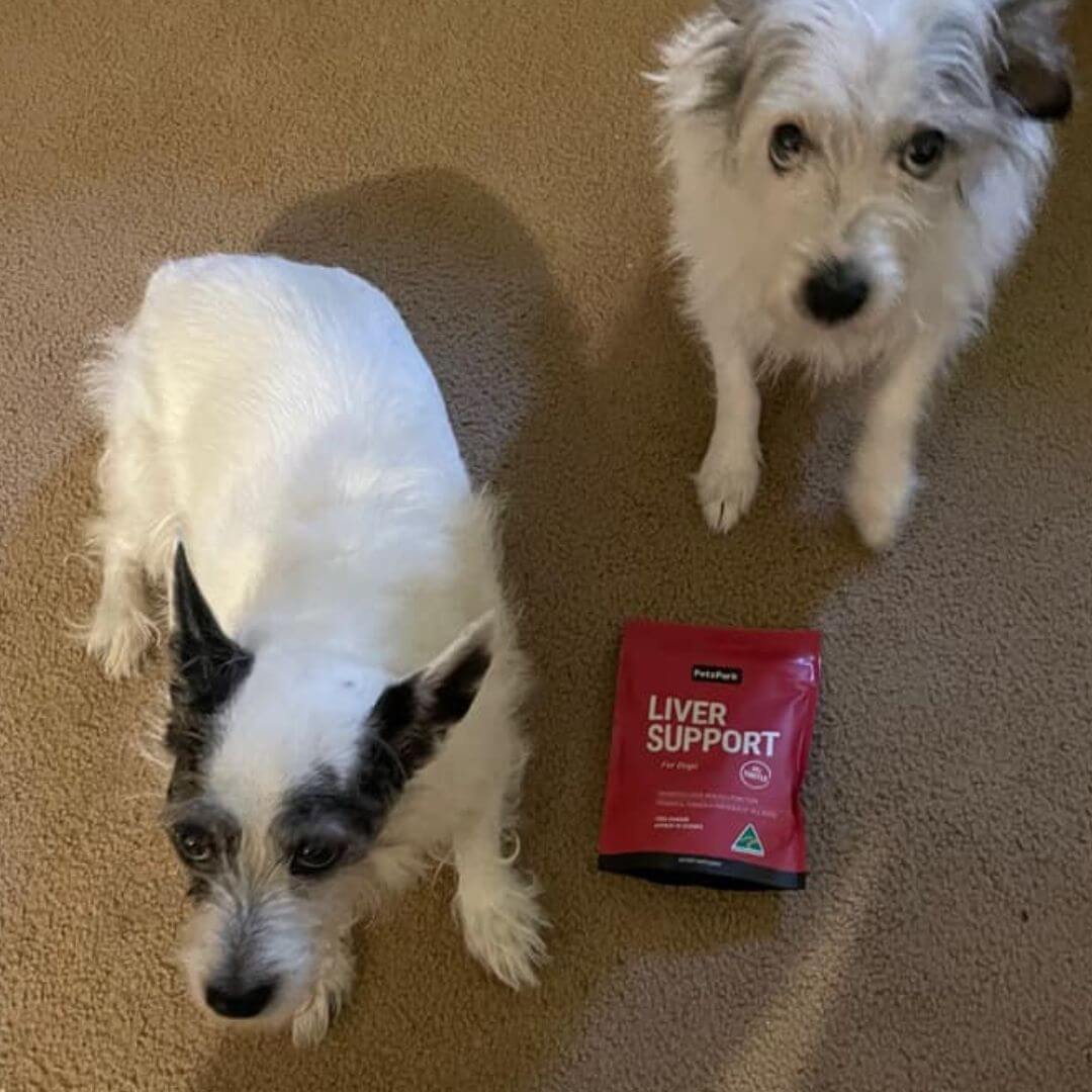 Liver Support for Dogs - Image 8
