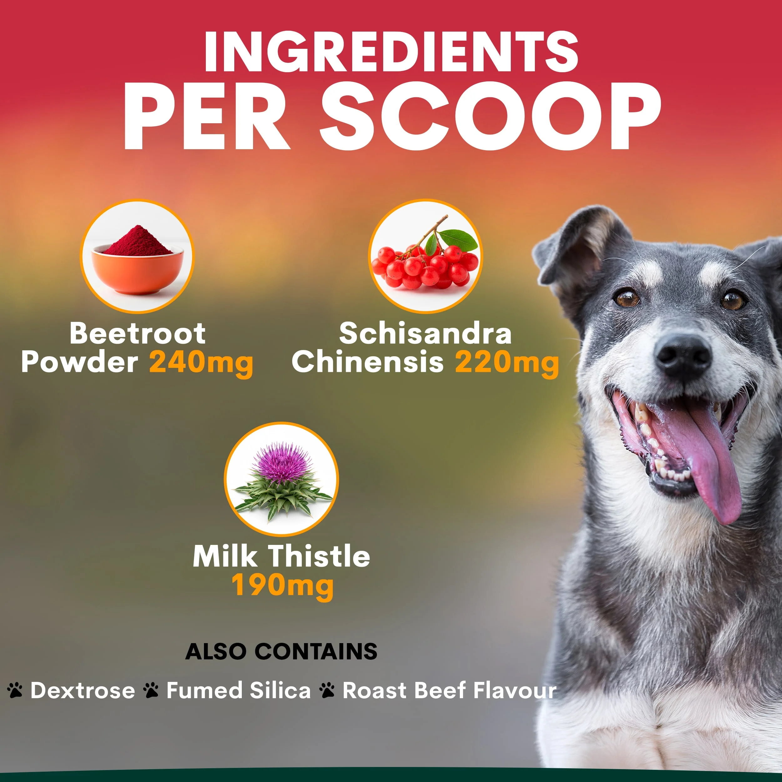 Liver Support for Dogs - Image 9