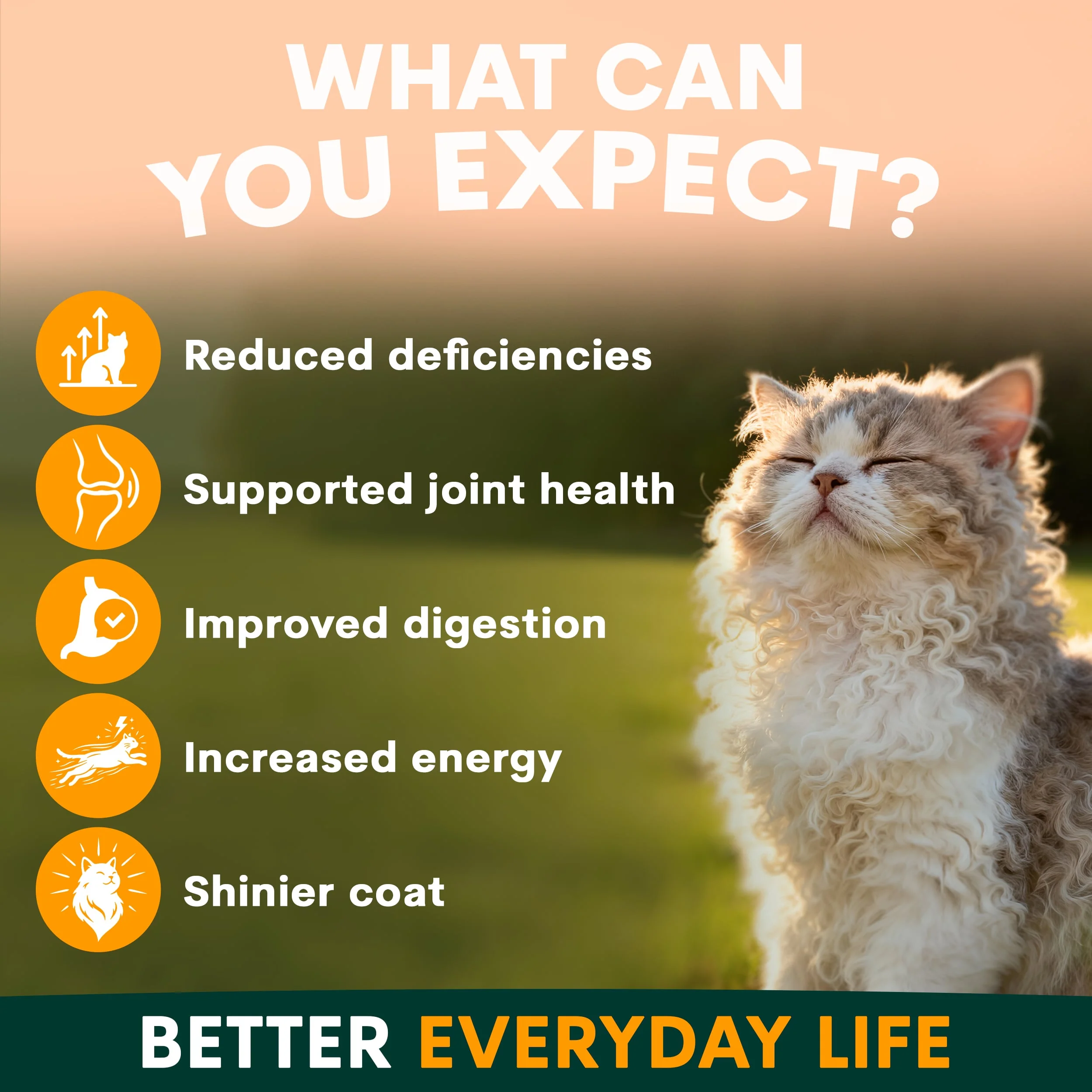 Multivitamin for Cats - Image 3
