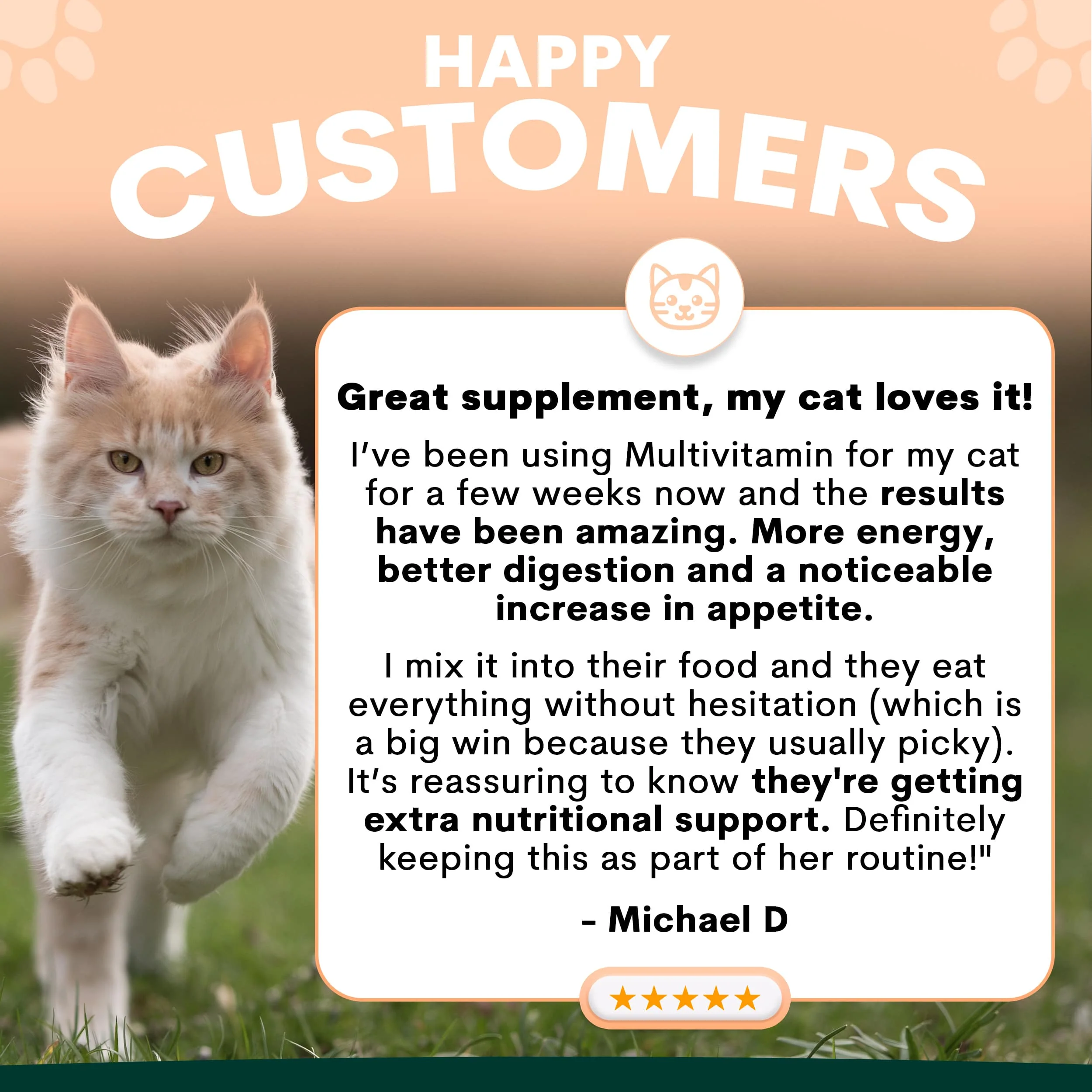 Multivitamin for Cats - Image 4