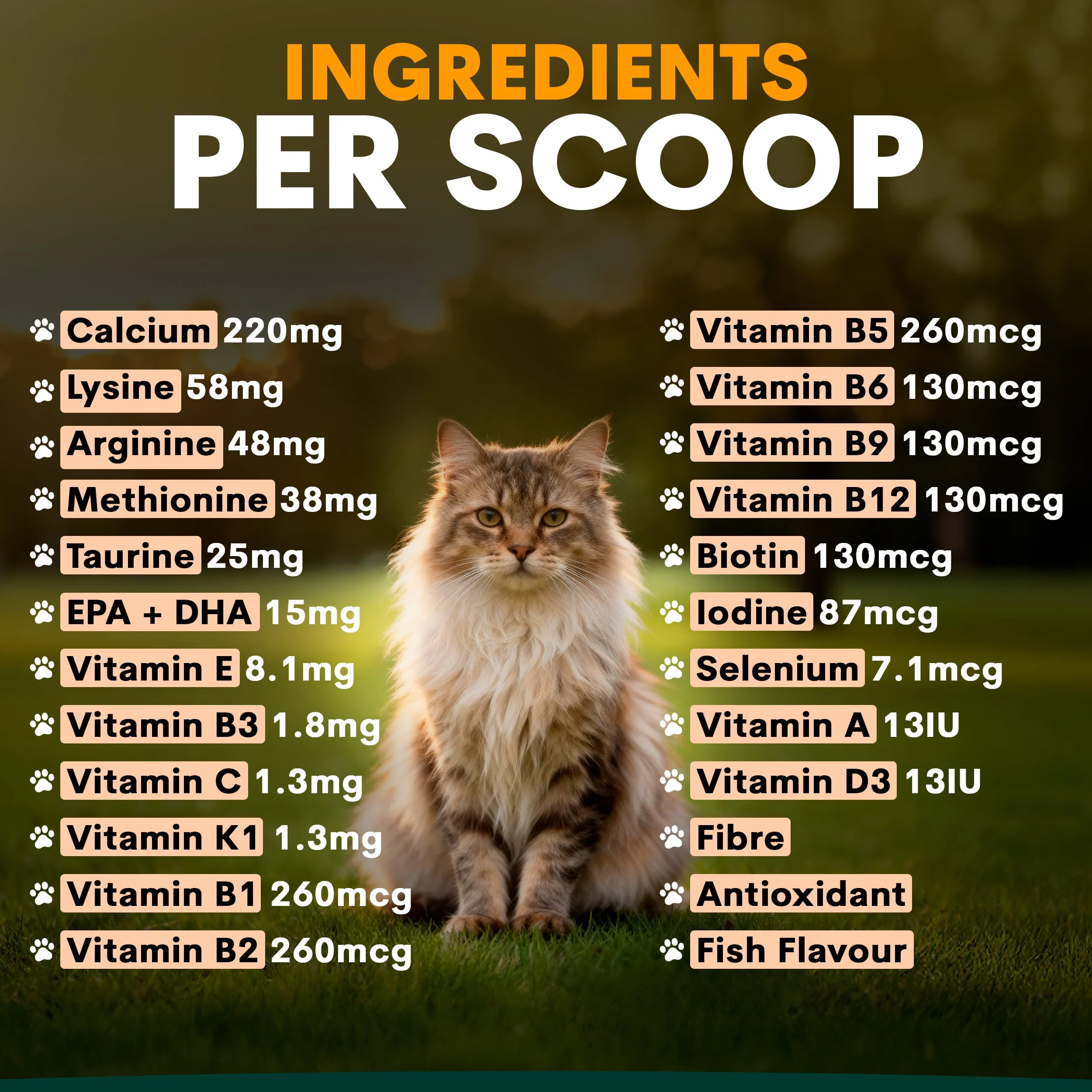 Multivitamin for Cats - Image 5