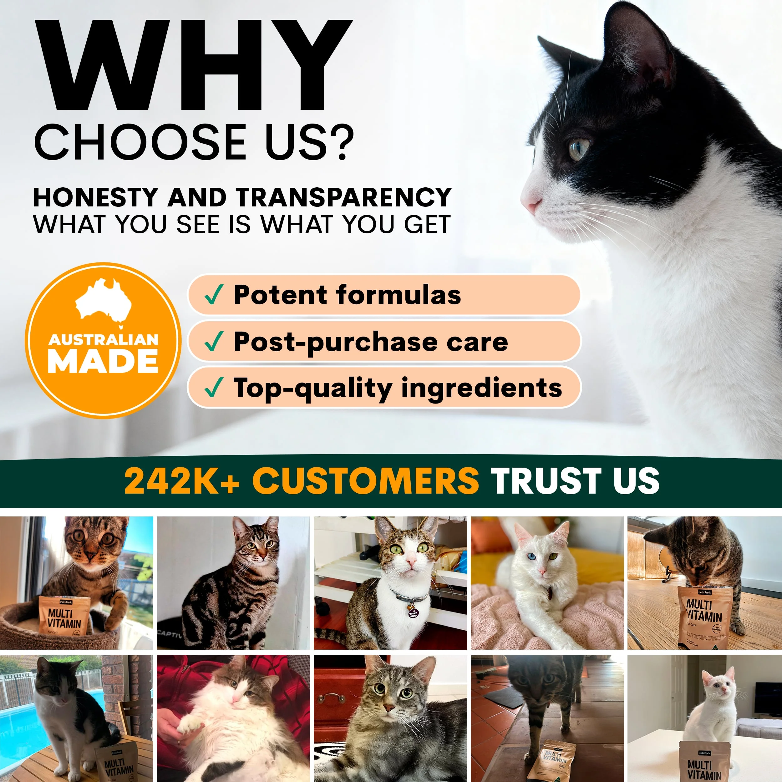 Multivitamin for Cats - Image 8