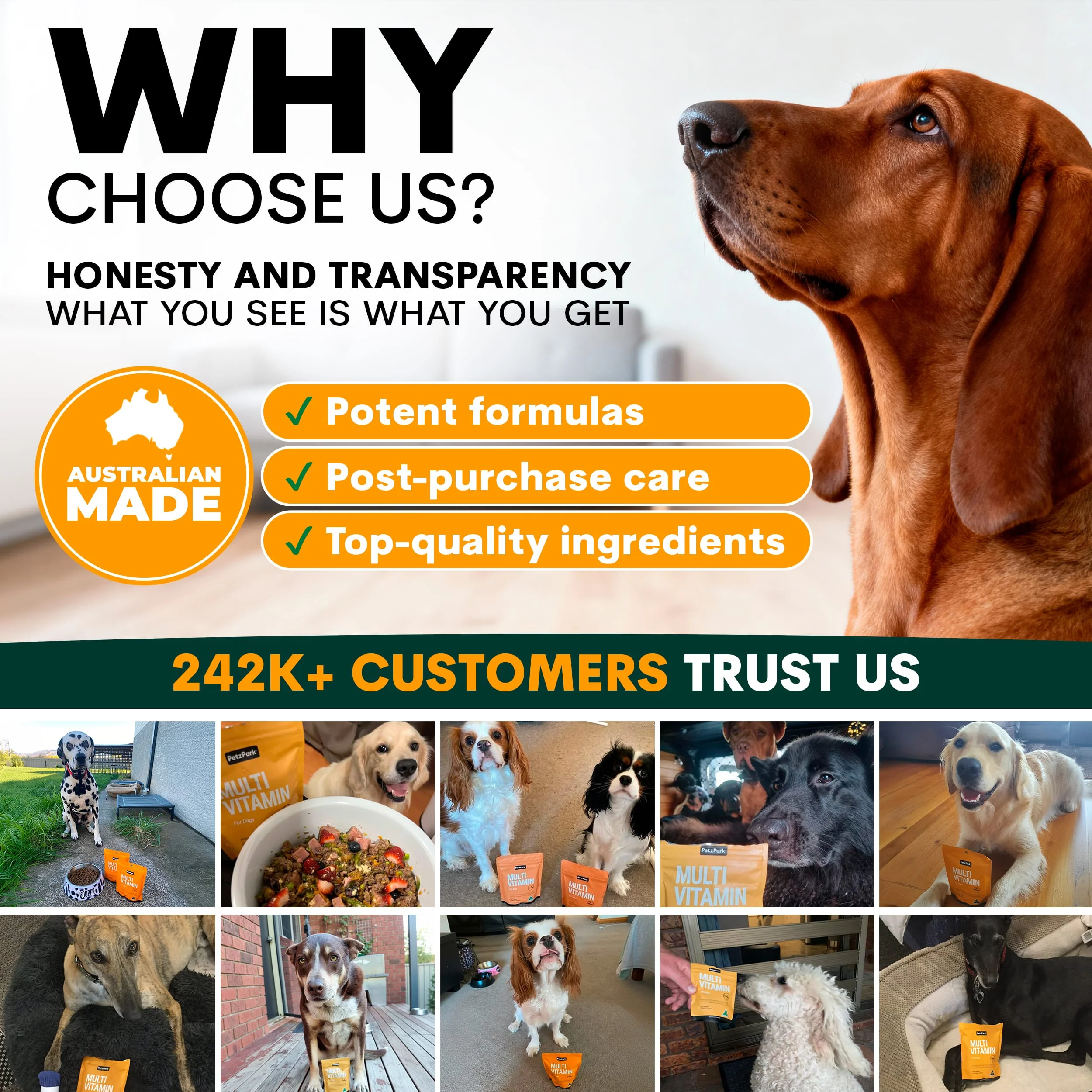 Multivitamin for Dogs - Image 10