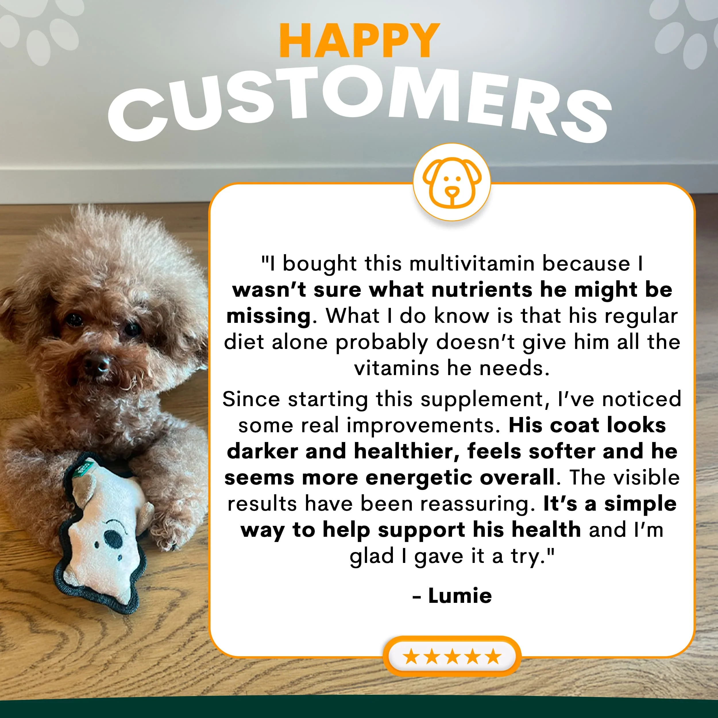 Multivitamin for Dogs - Image 4