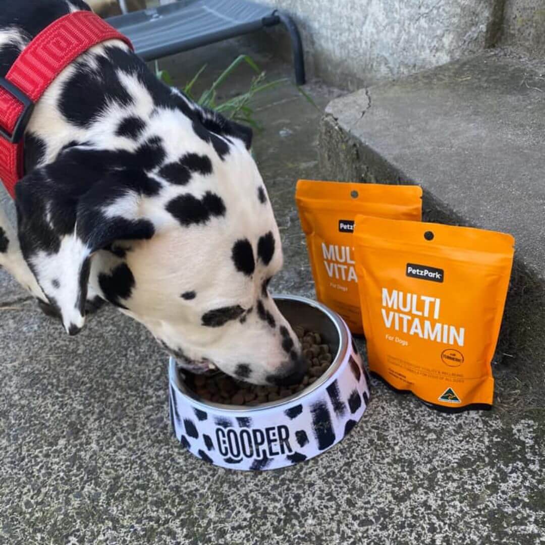 Multivitamin for Dogs - Image 6